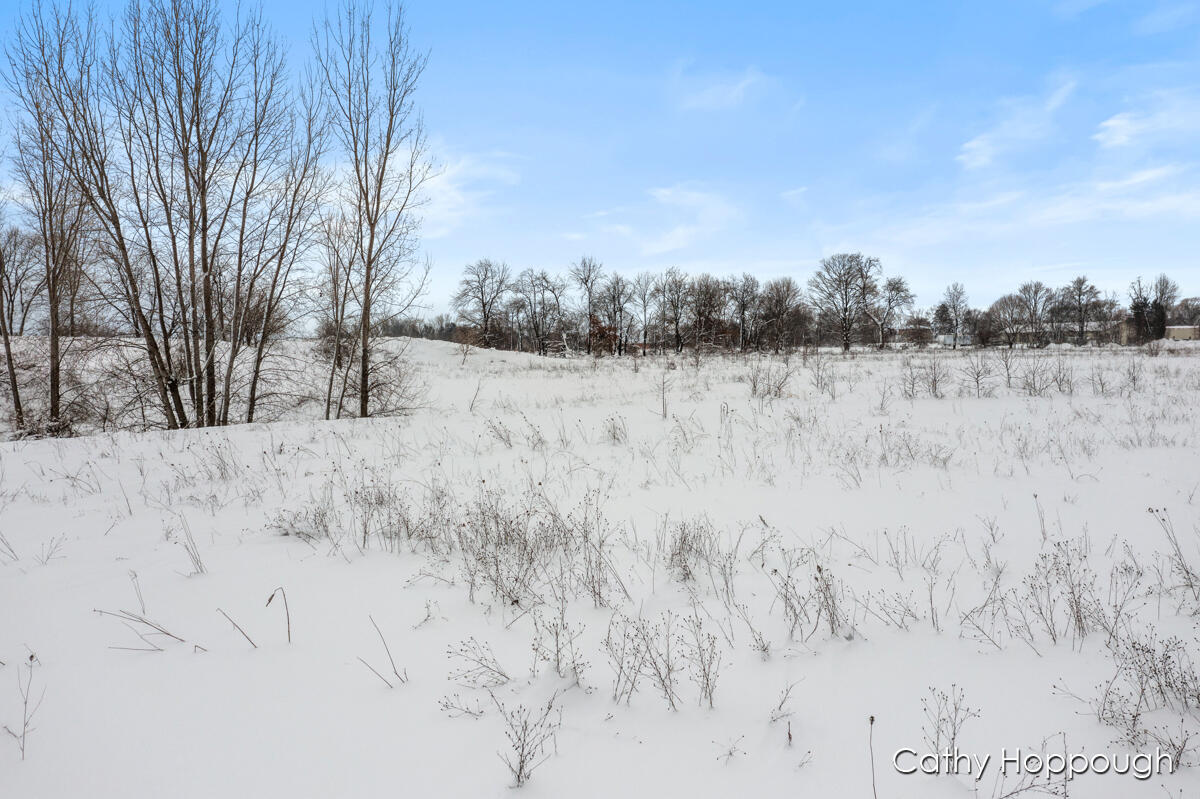 3615 S State Road Orange Township MI 48846
