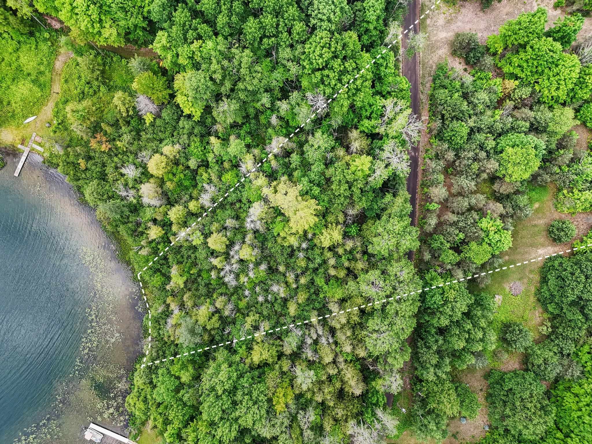 00 Harris Point Trail Almira Township MI 49650