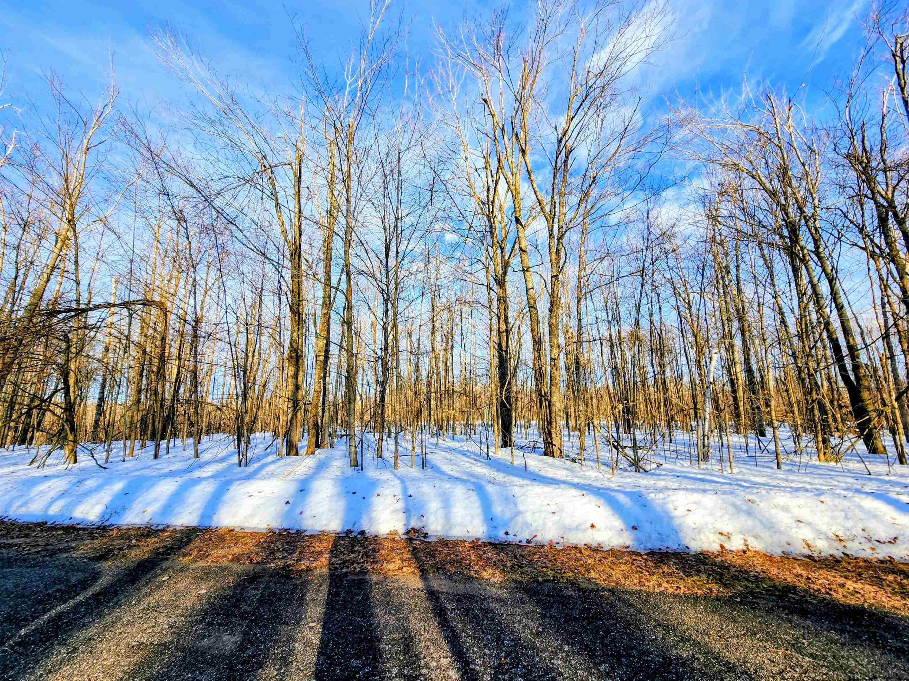 Lot 45 Terreton Circle Star Township MI 49730