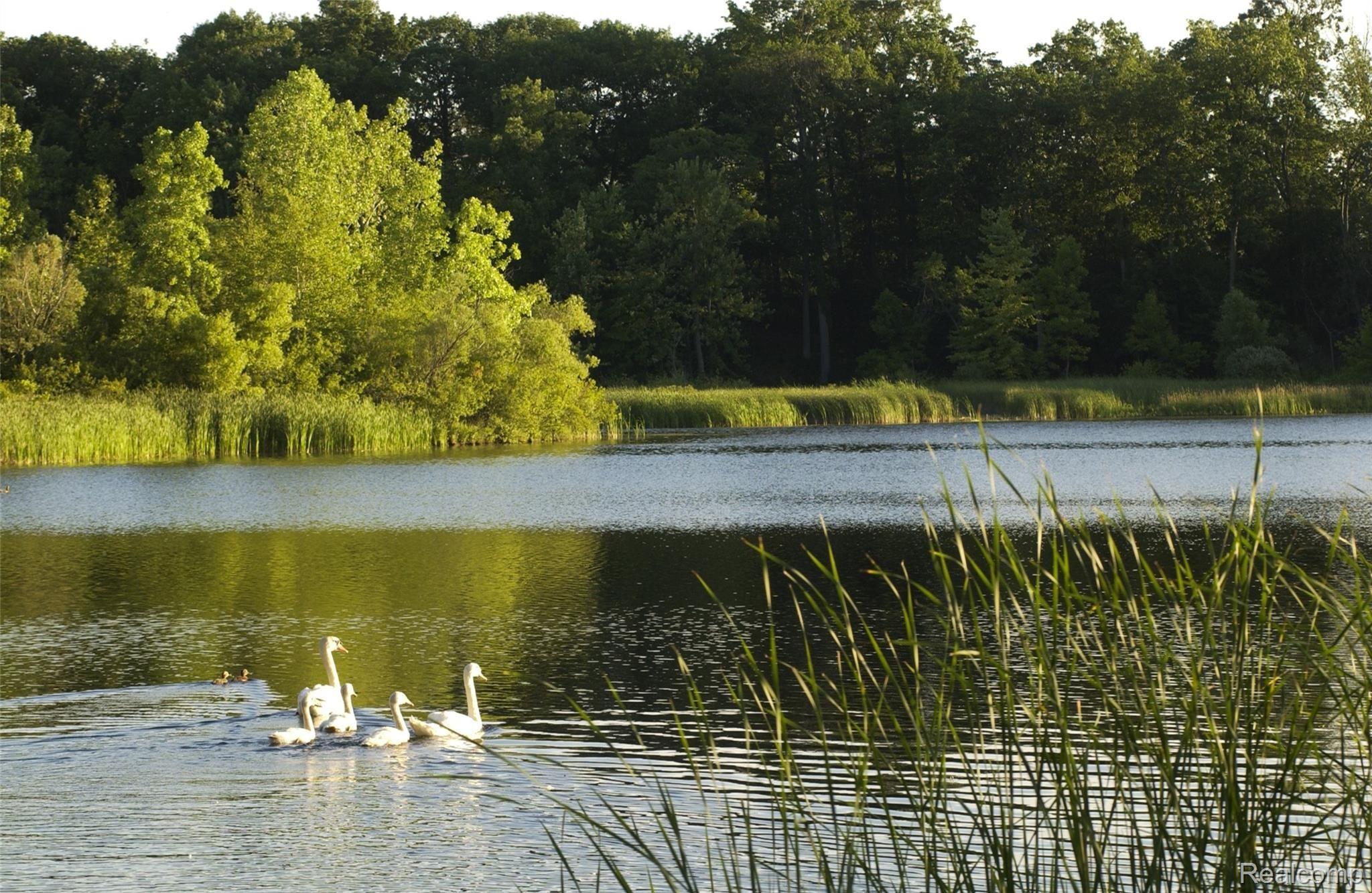 2670 Turtle Lake Drive Bloomfield Charter Township MI 48302