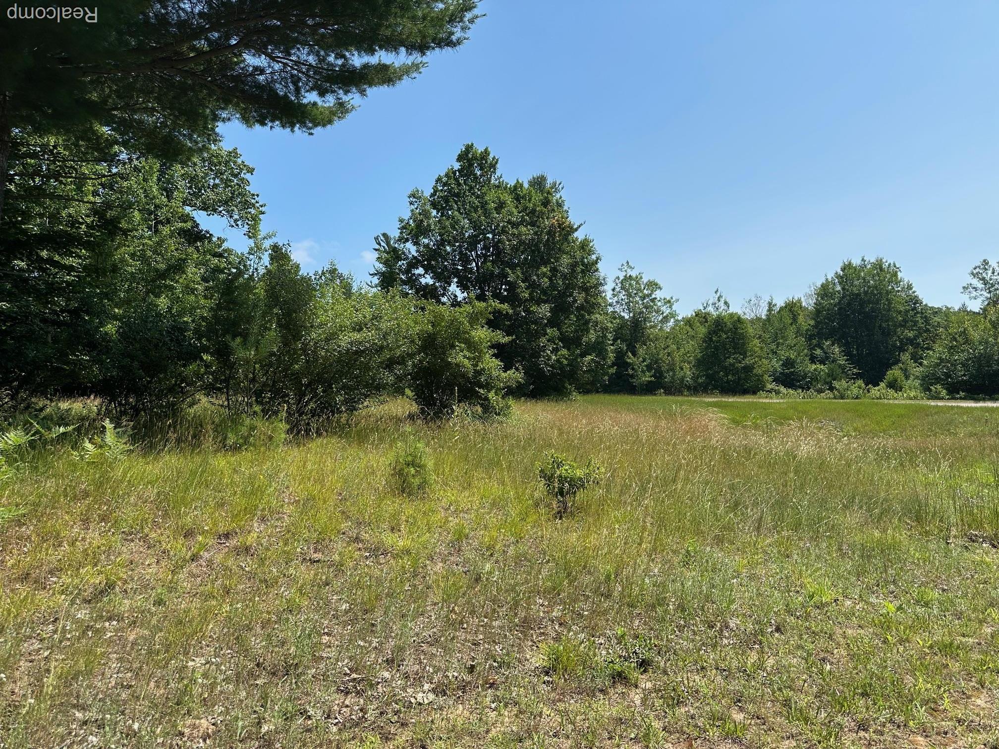 77 E Starlight Ridge Circle Onekama Township MI 49675