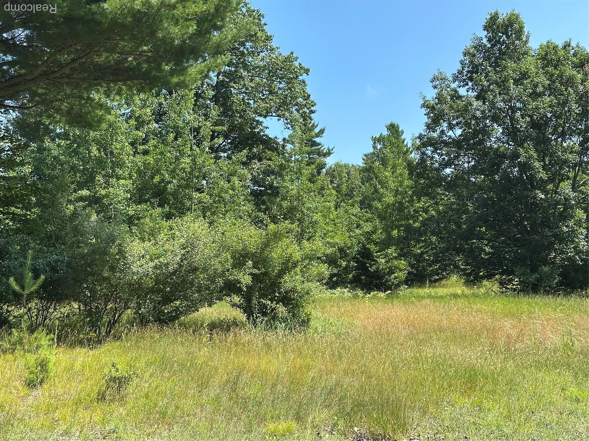77 E Starlight Ridge Circle Onekama Township MI 49675