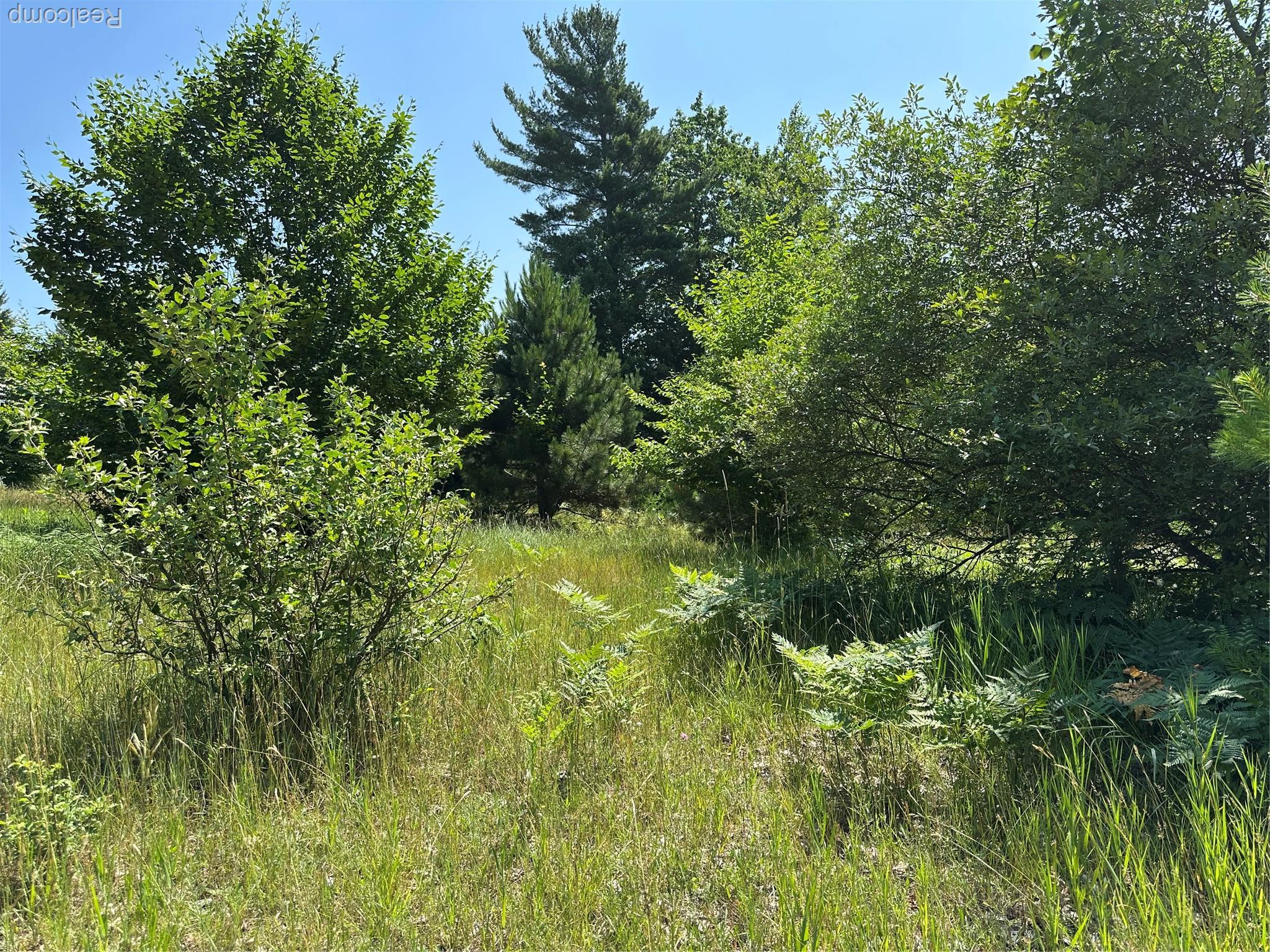77 E Starlight Ridge Circle Onekama Township MI 49675