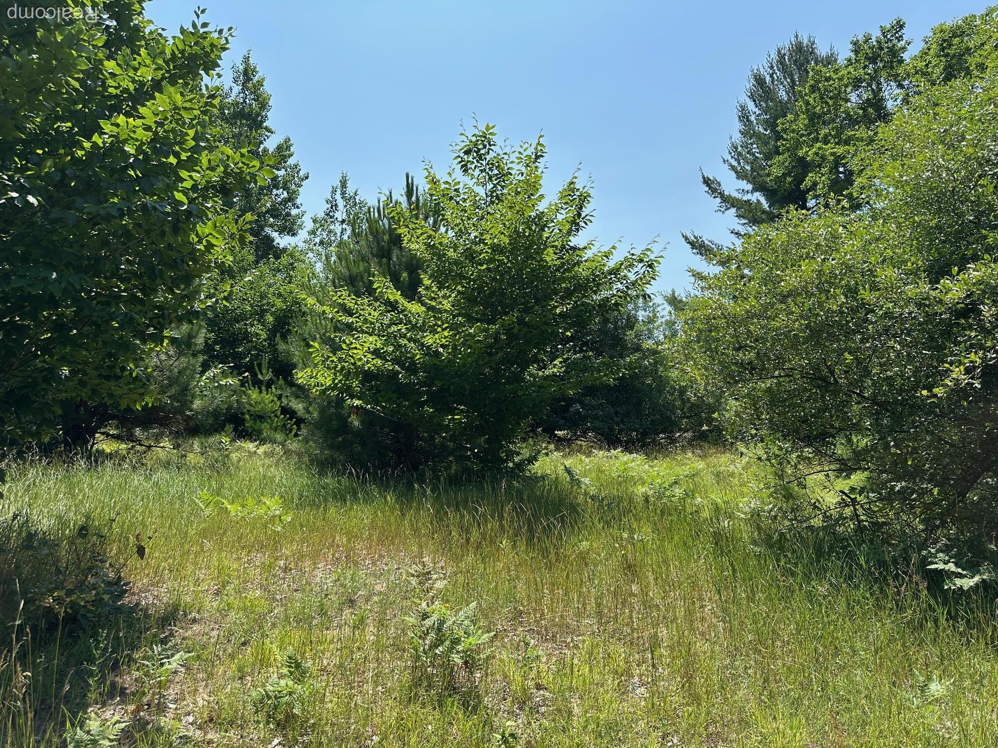 77 E Starlight Ridge Circle Onekama Township MI 49675