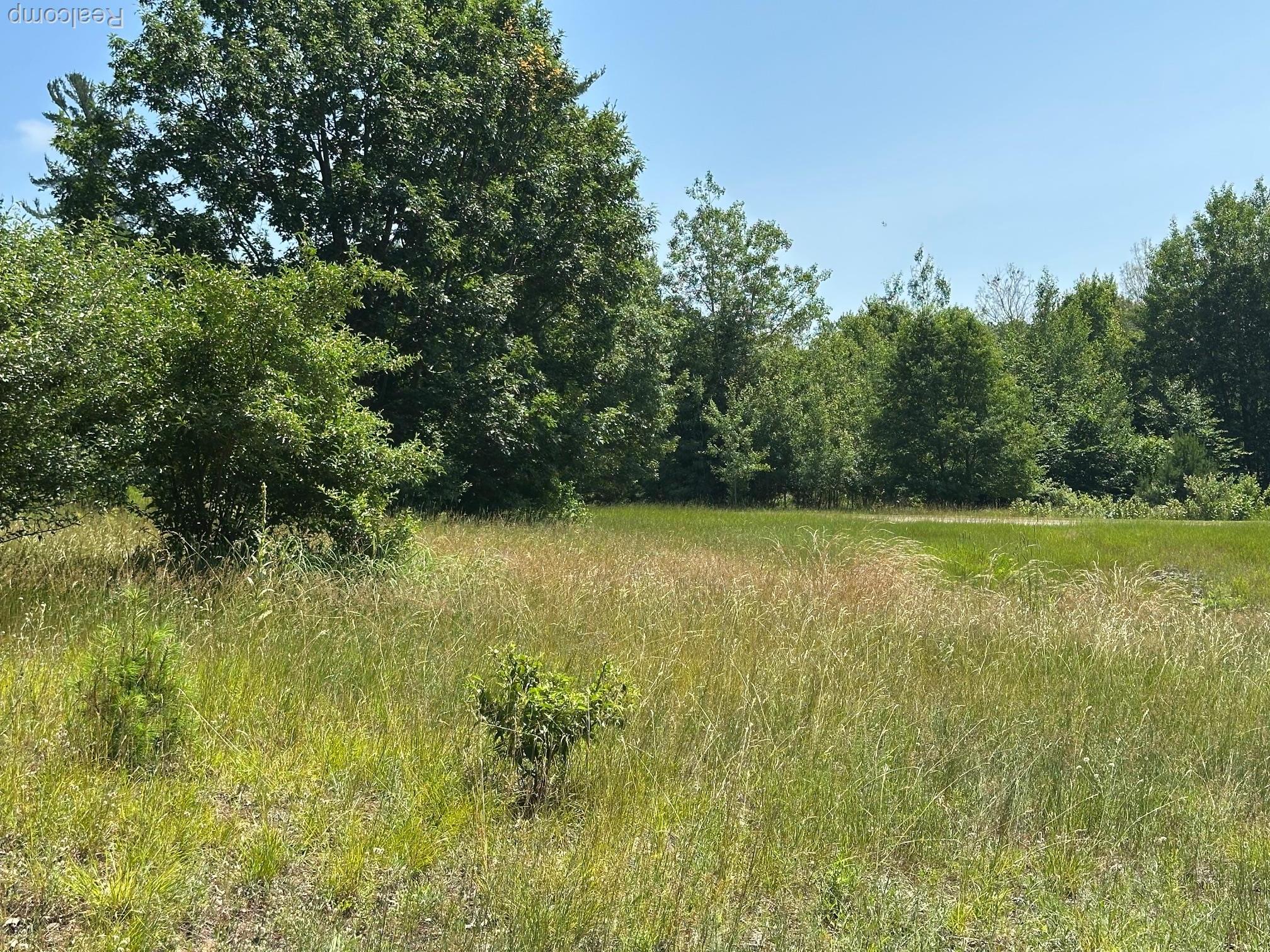 77 E Starlight Ridge Circle Onekama Township MI 49675