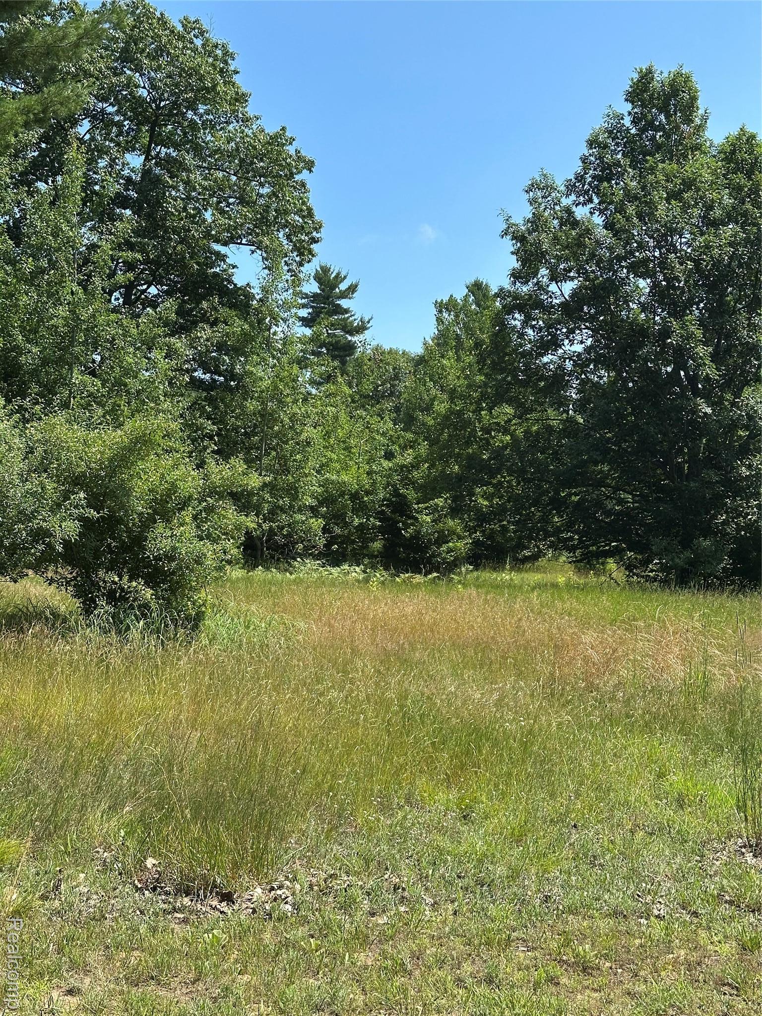 77 E Starlight Ridge Circle Onekama Township MI 49675