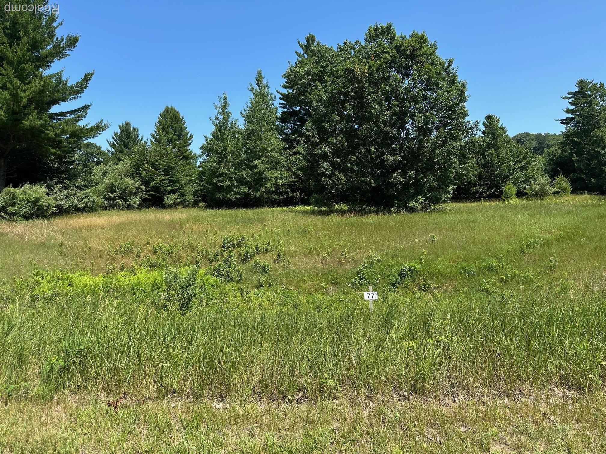 77 E Starlight Ridge Circle Onekama Township MI 49675