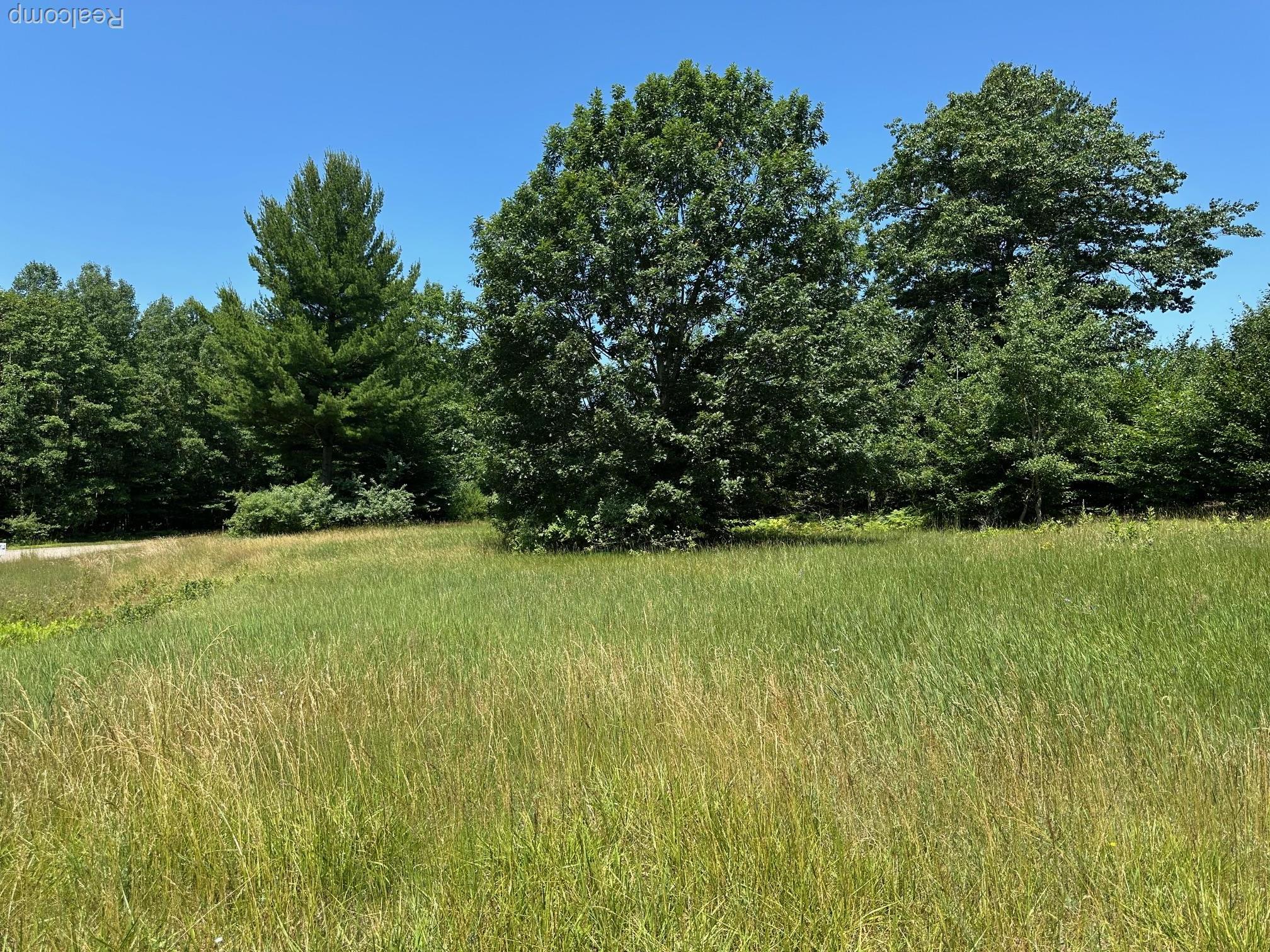 77 E Starlight Ridge Circle Onekama Township MI 49675