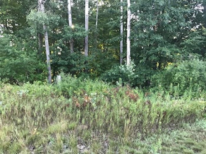 N/a Noble Road Whitney Township MI 48763