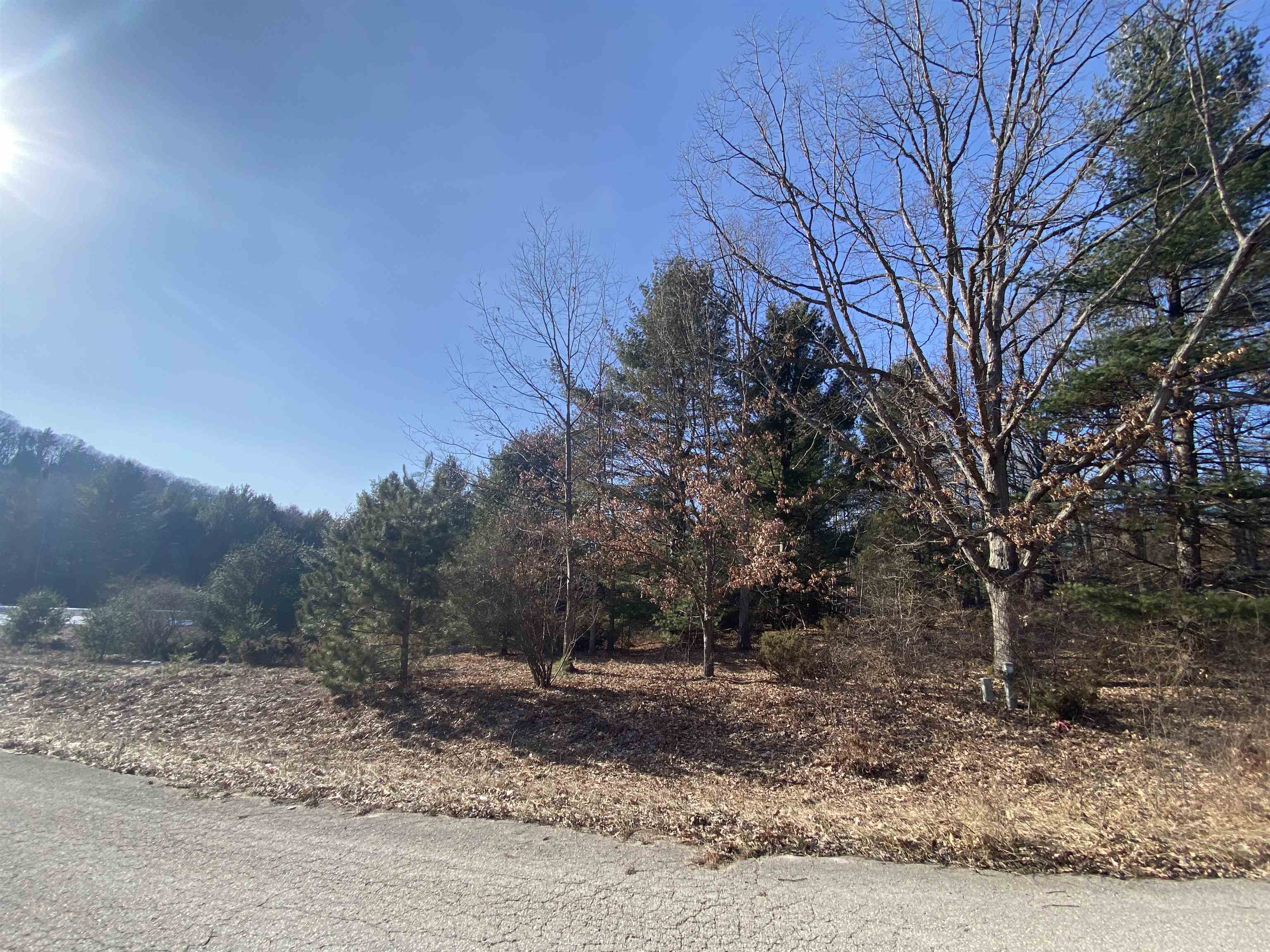 Lot 36 Kirkridge Drive Acme Township MI 49690