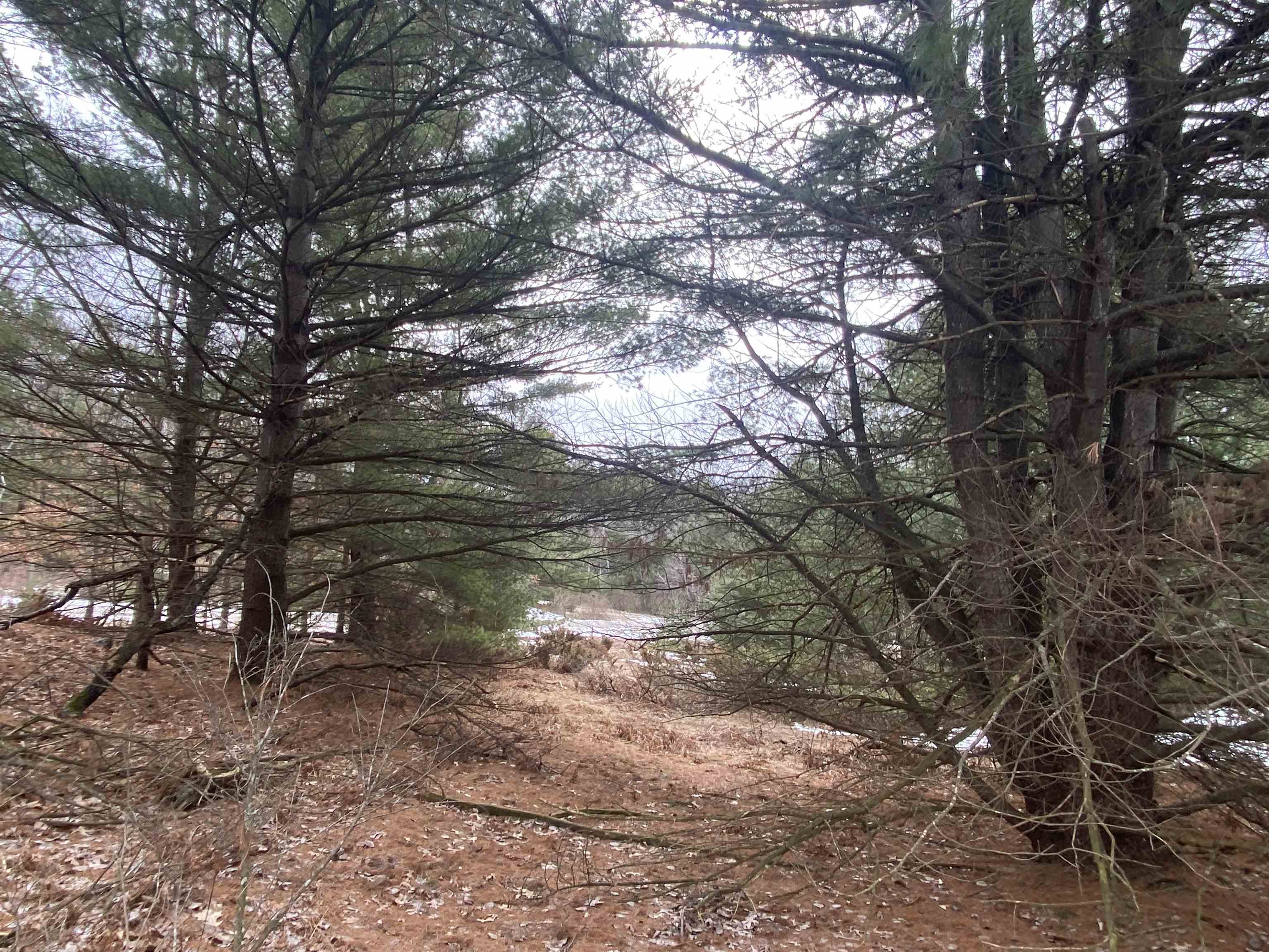 Lot 36 Kirkridge Drive Acme Township MI 49690