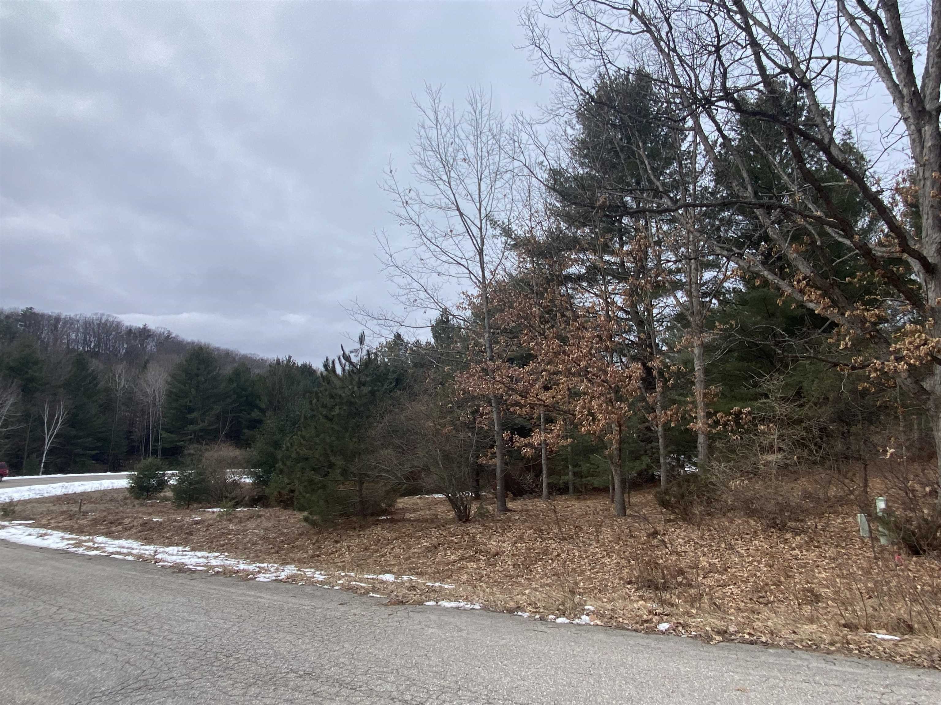 Lot 36 Kirkridge Drive Acme Township MI 49690