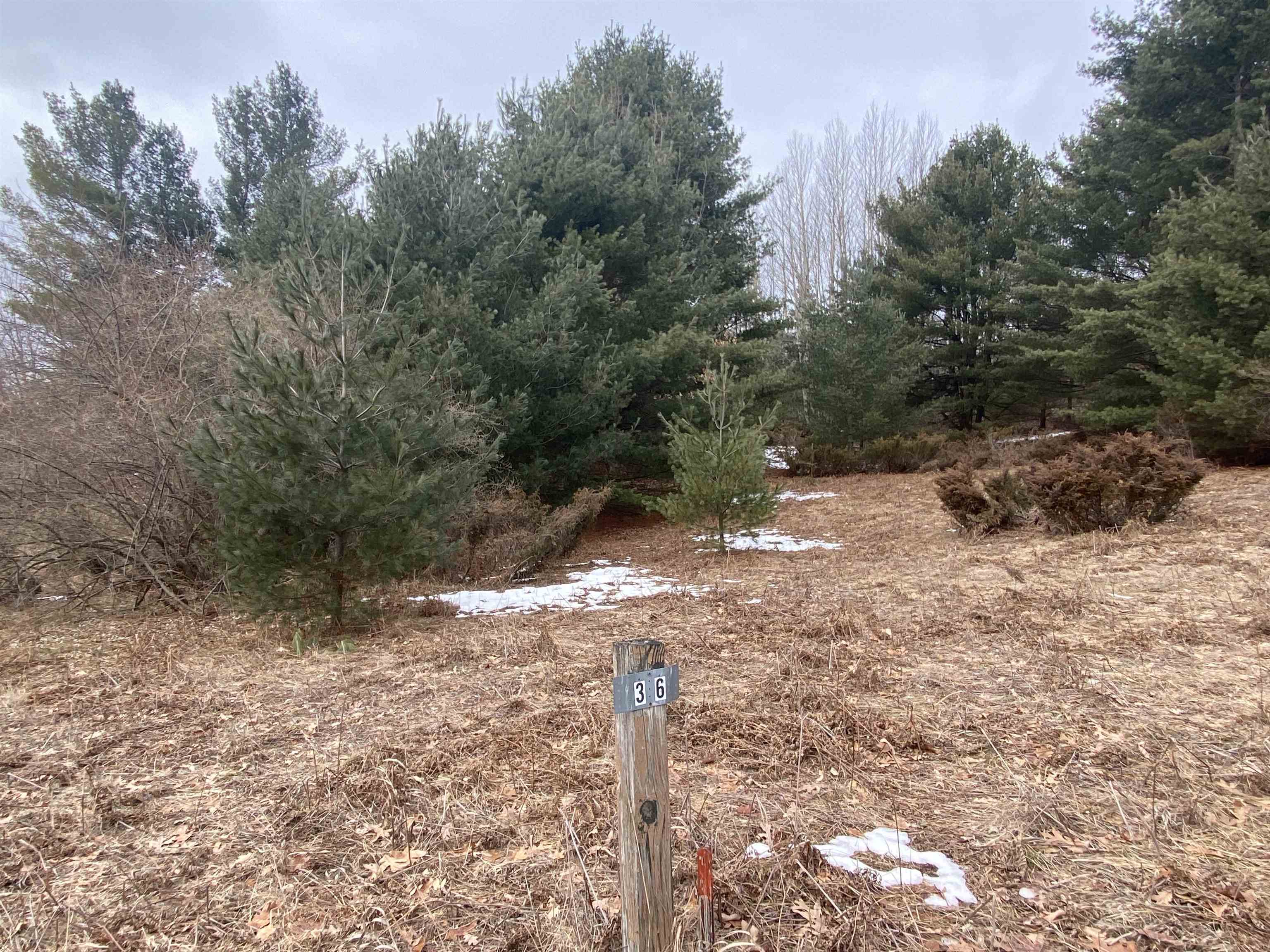 Lot 36 Kirkridge Drive Acme Township MI 49690