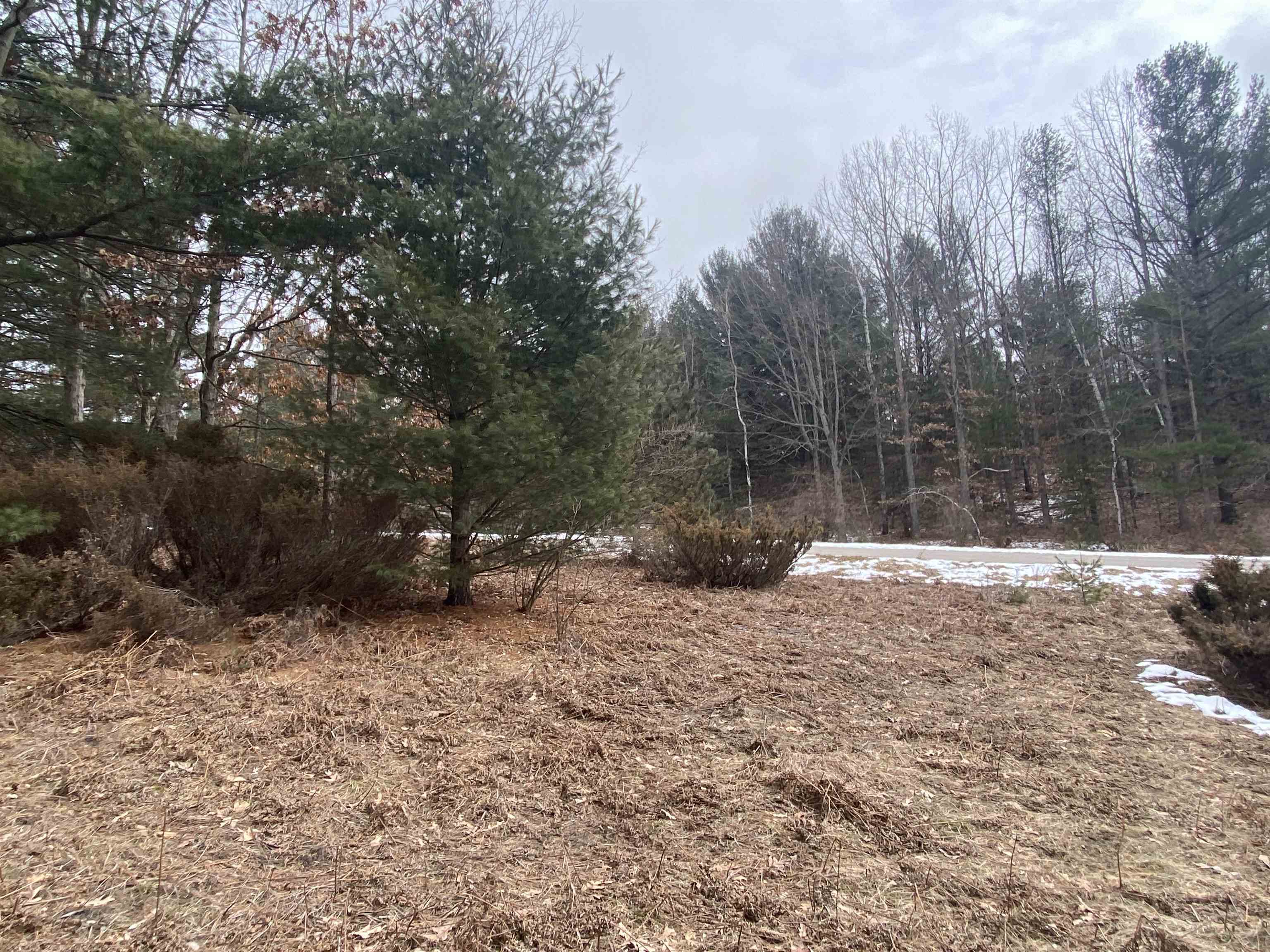 Lot 36 Kirkridge Drive Acme Township MI 49690