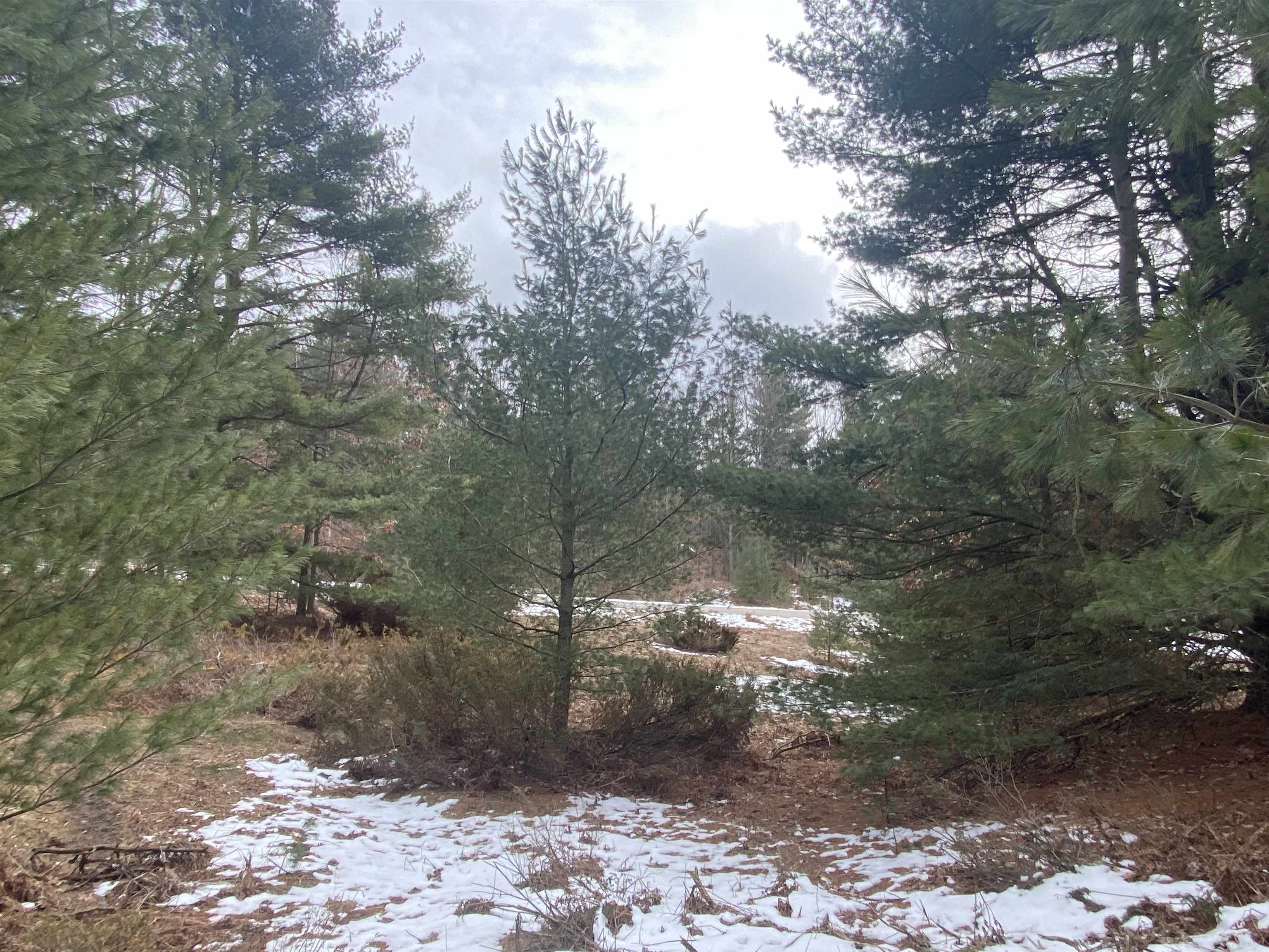 Lot 36 Kirkridge Drive Acme Township MI 49690