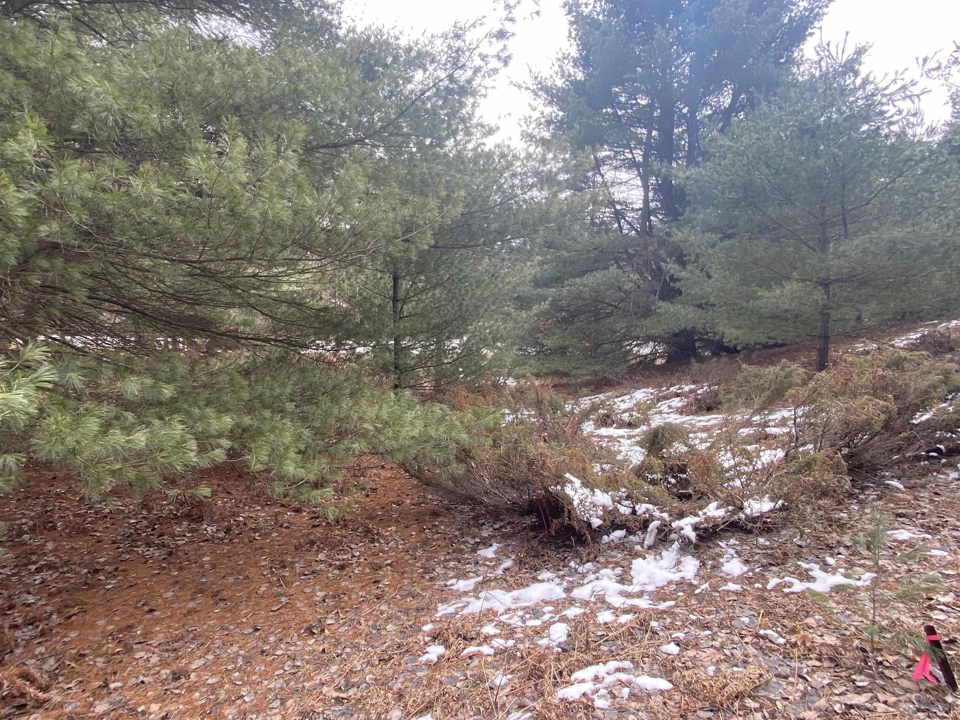 Lot 36 Kirkridge Drive Acme Township MI 49690