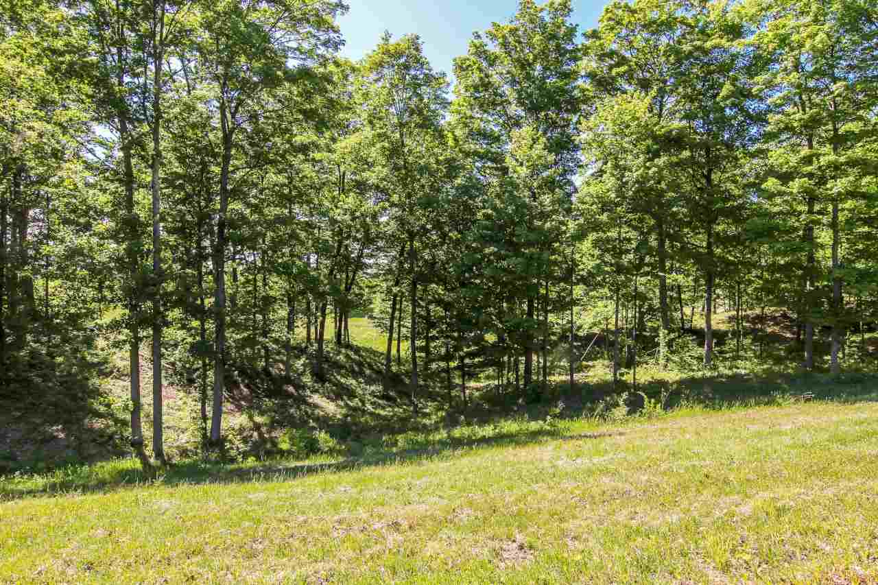 0012 Heather Ridge Trail Homestead Township MI 49617