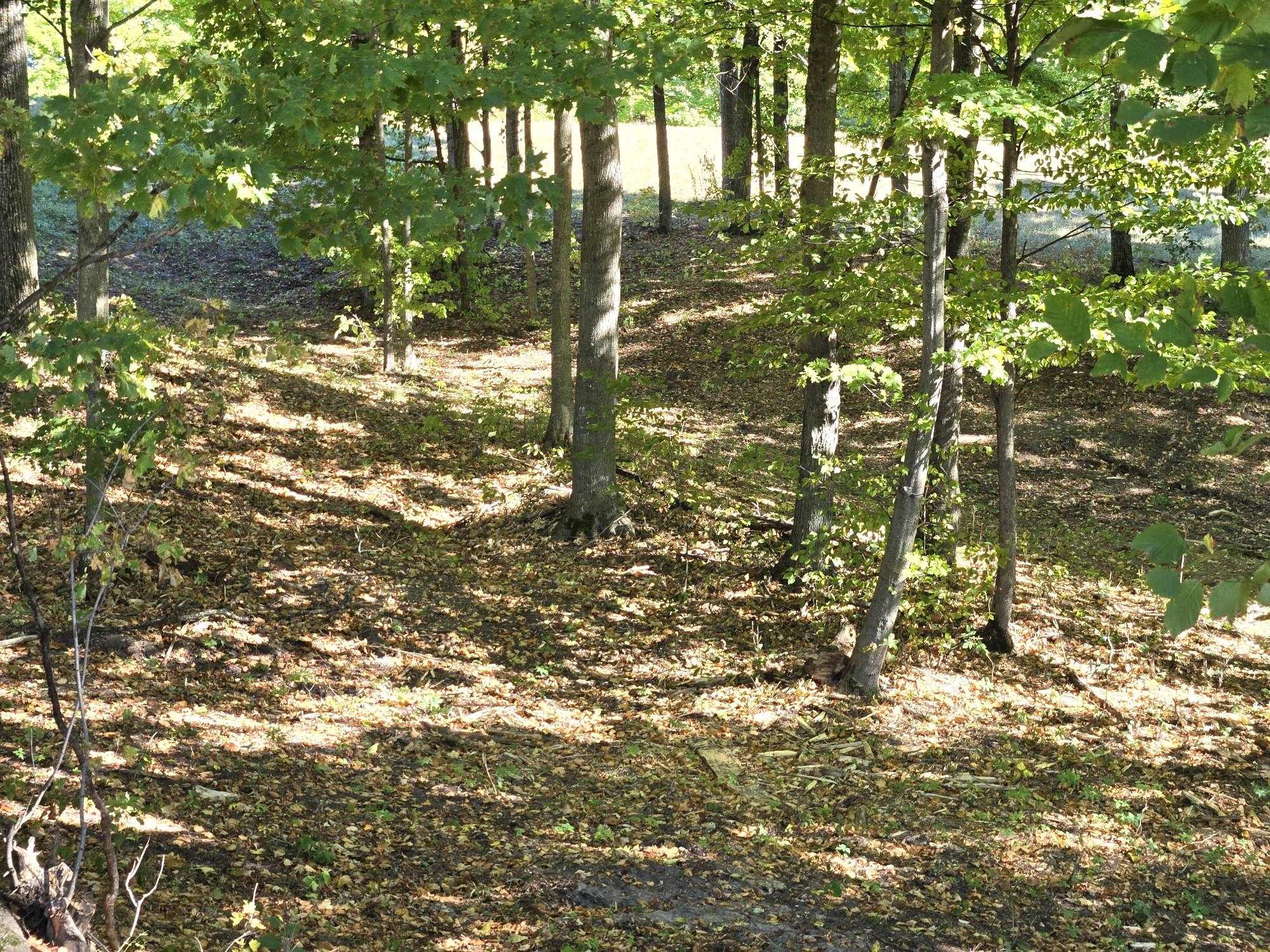 0012 Heather Ridge Trail Homestead Township MI 49617