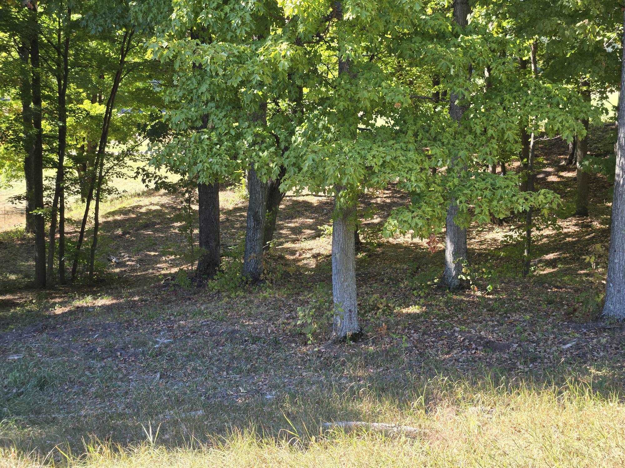 0012 Heather Ridge Trail Homestead Township MI 49617