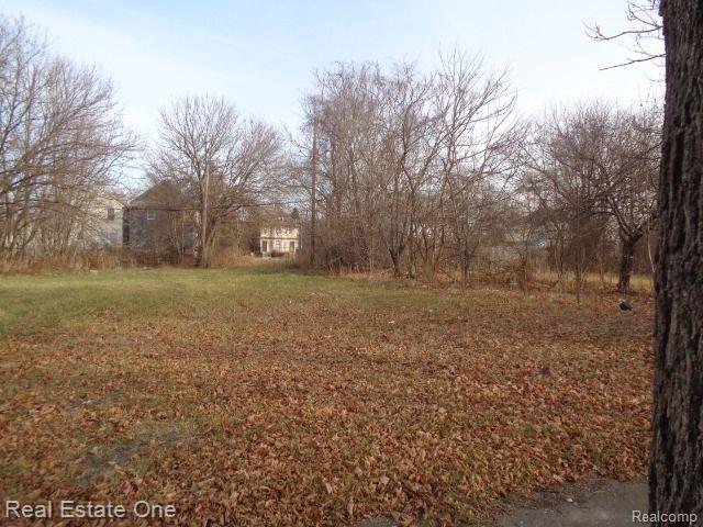 3806 Belvidere Street Detroit City MI 48214