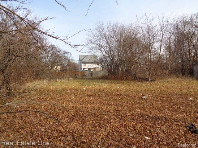 3806 Belvidere Street Detroit City MI 48214