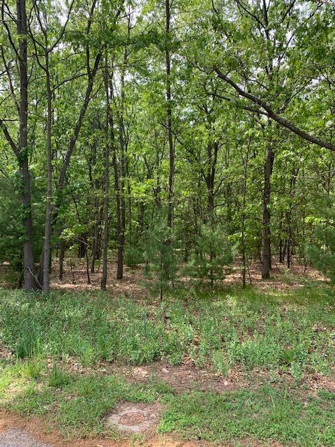 Lot 12 Lakeshore Street Montague Township MI 49437