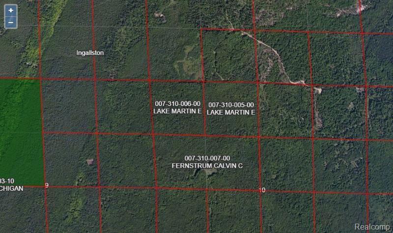 0 Million Dollar Road Ingallston Township MI 49858