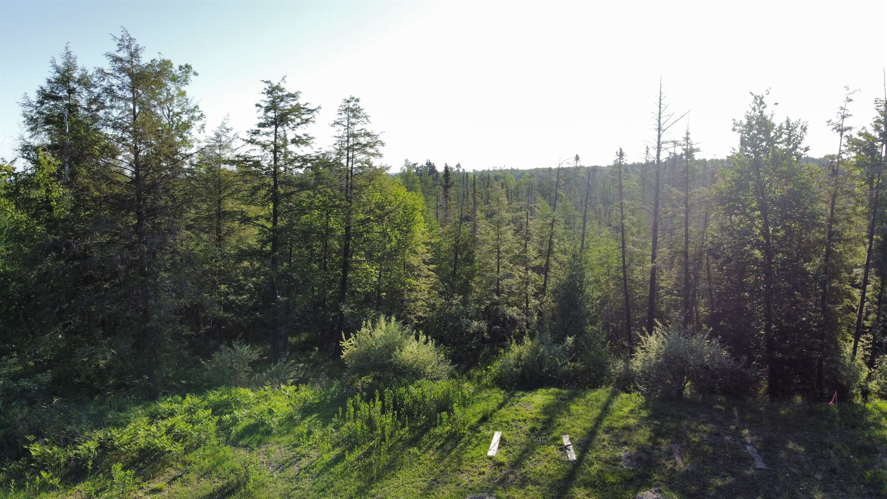 12871 Torch River Road Milton Township MI 49676
