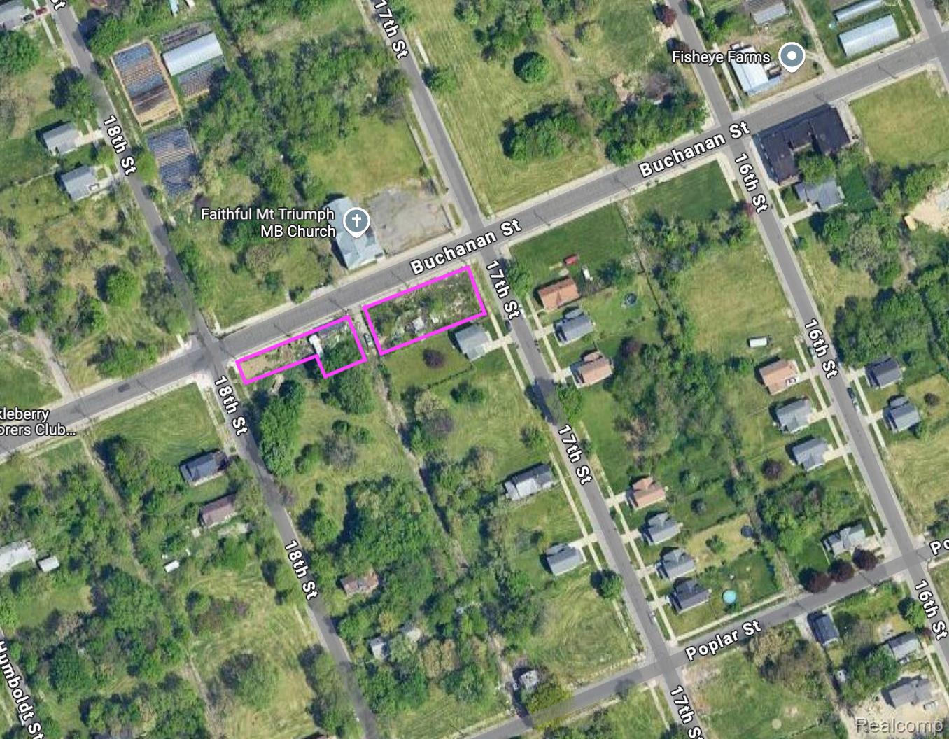 2507 Buchanan Street Detroit City MI 48208