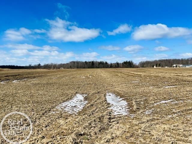 Ville North Road Clyde Township MI 48049