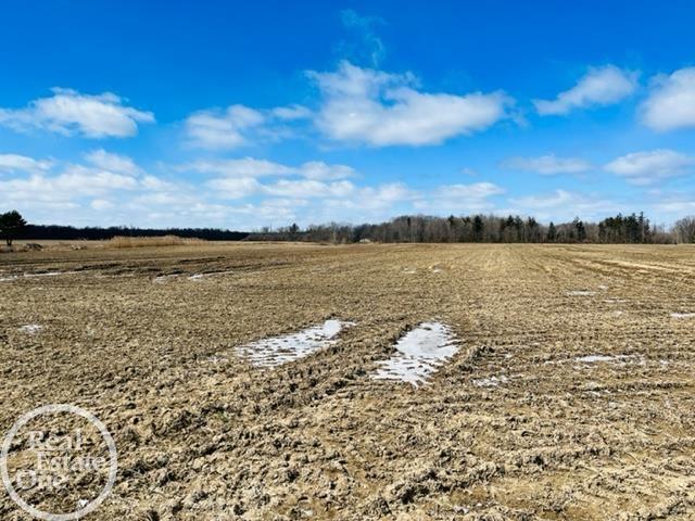 Ville North Road Clyde Township MI 48049