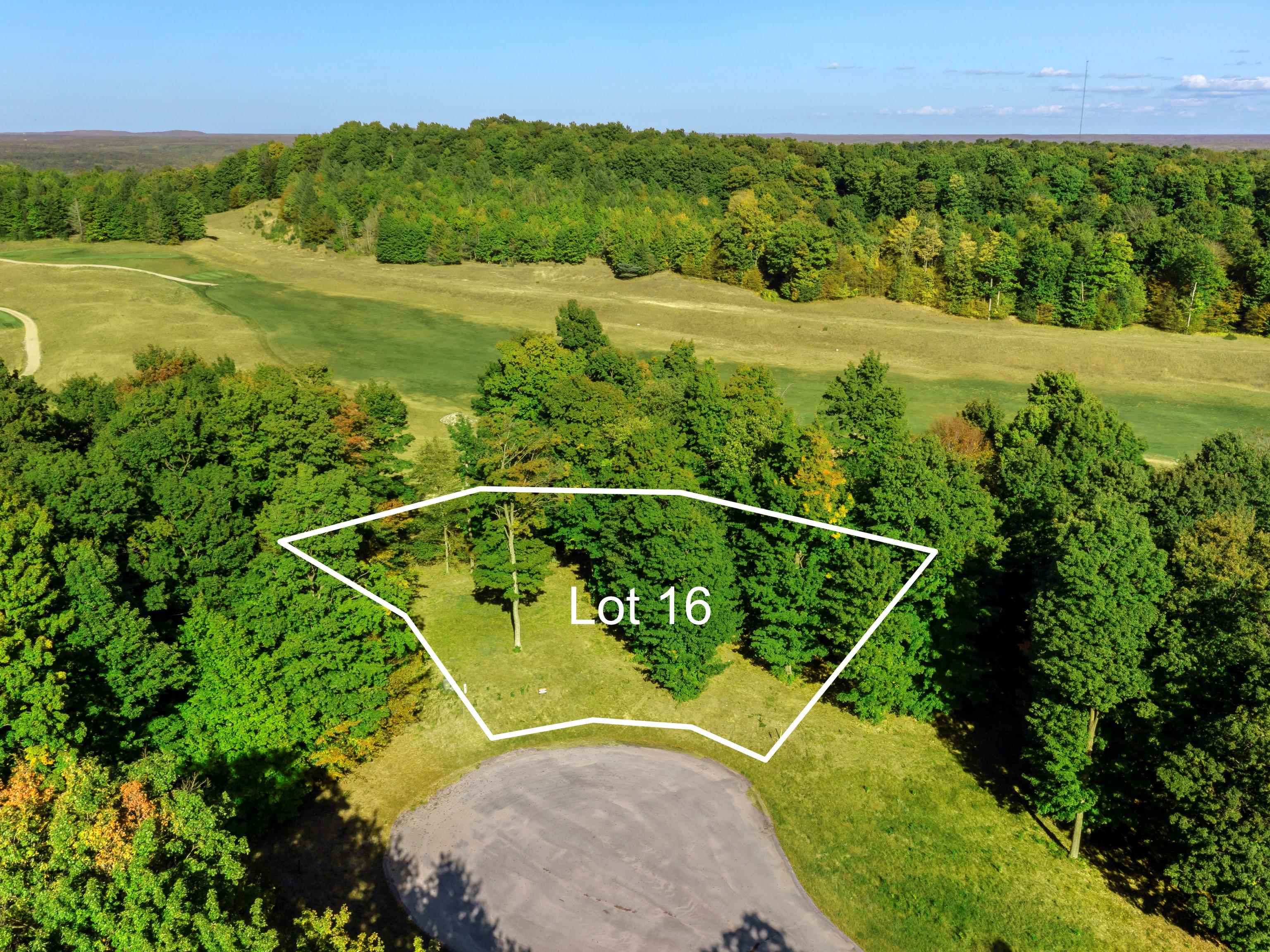 0016 Heather Ridge Trail Homestead Township MI 49617