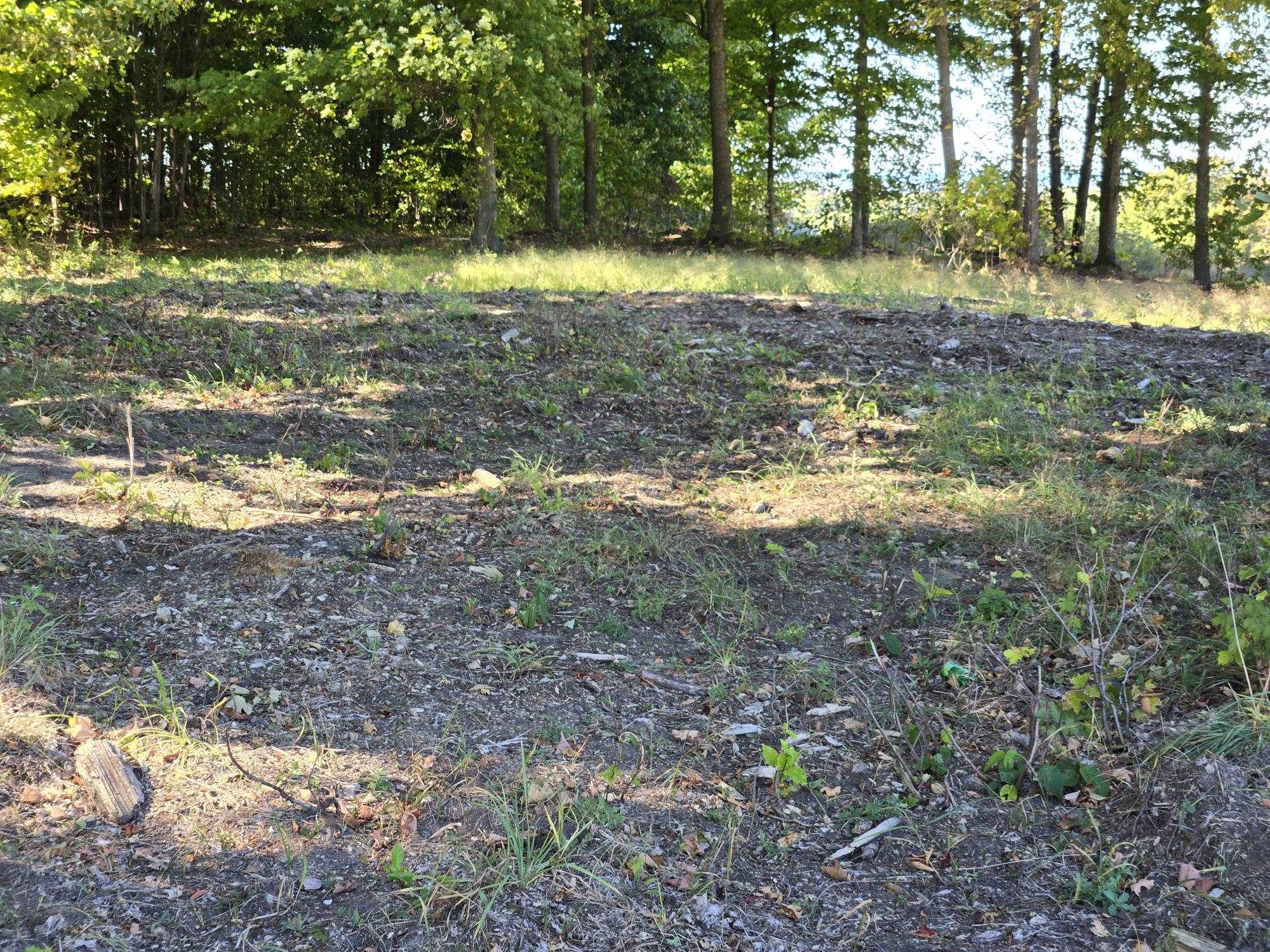 0016 Heather Ridge Trail Homestead Township MI 49617