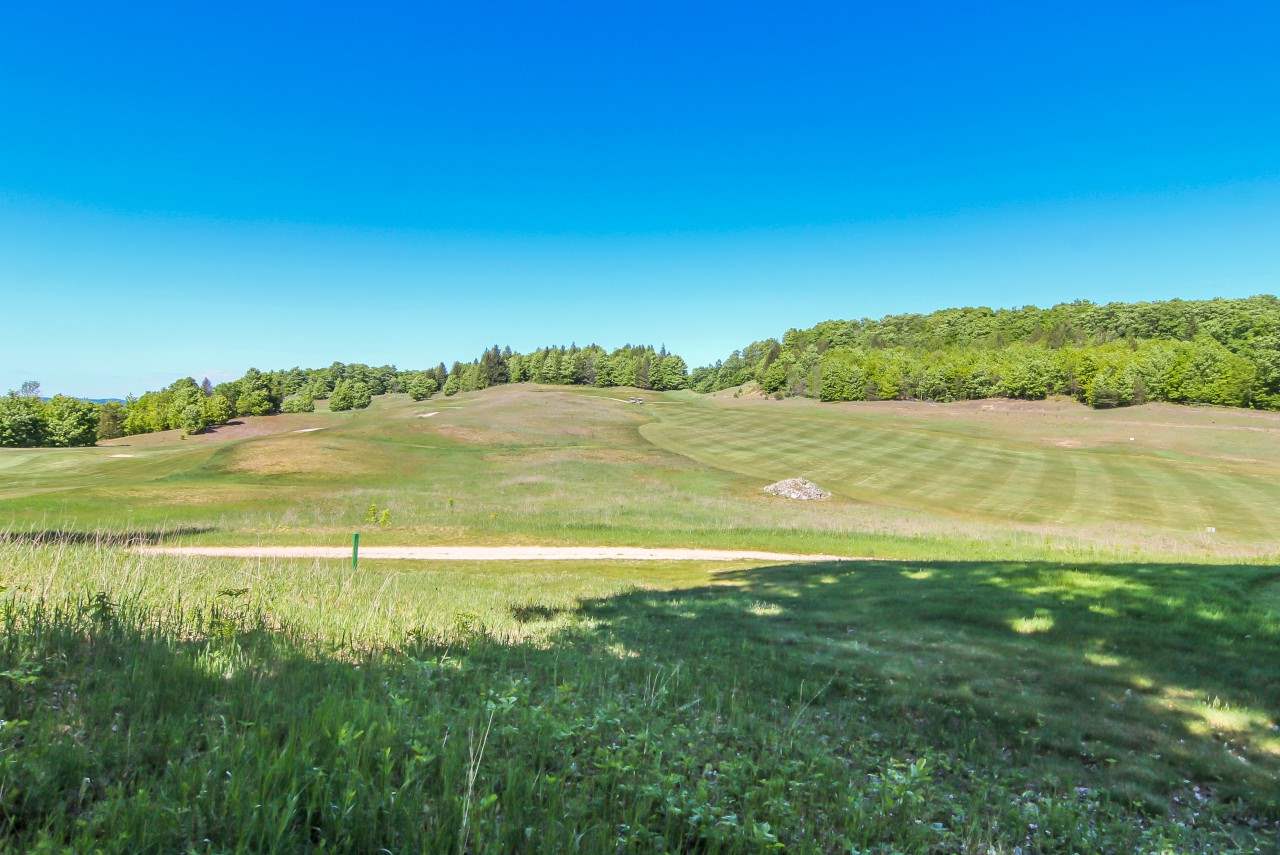0016 Heather Ridge Trail Homestead Township MI 49617
