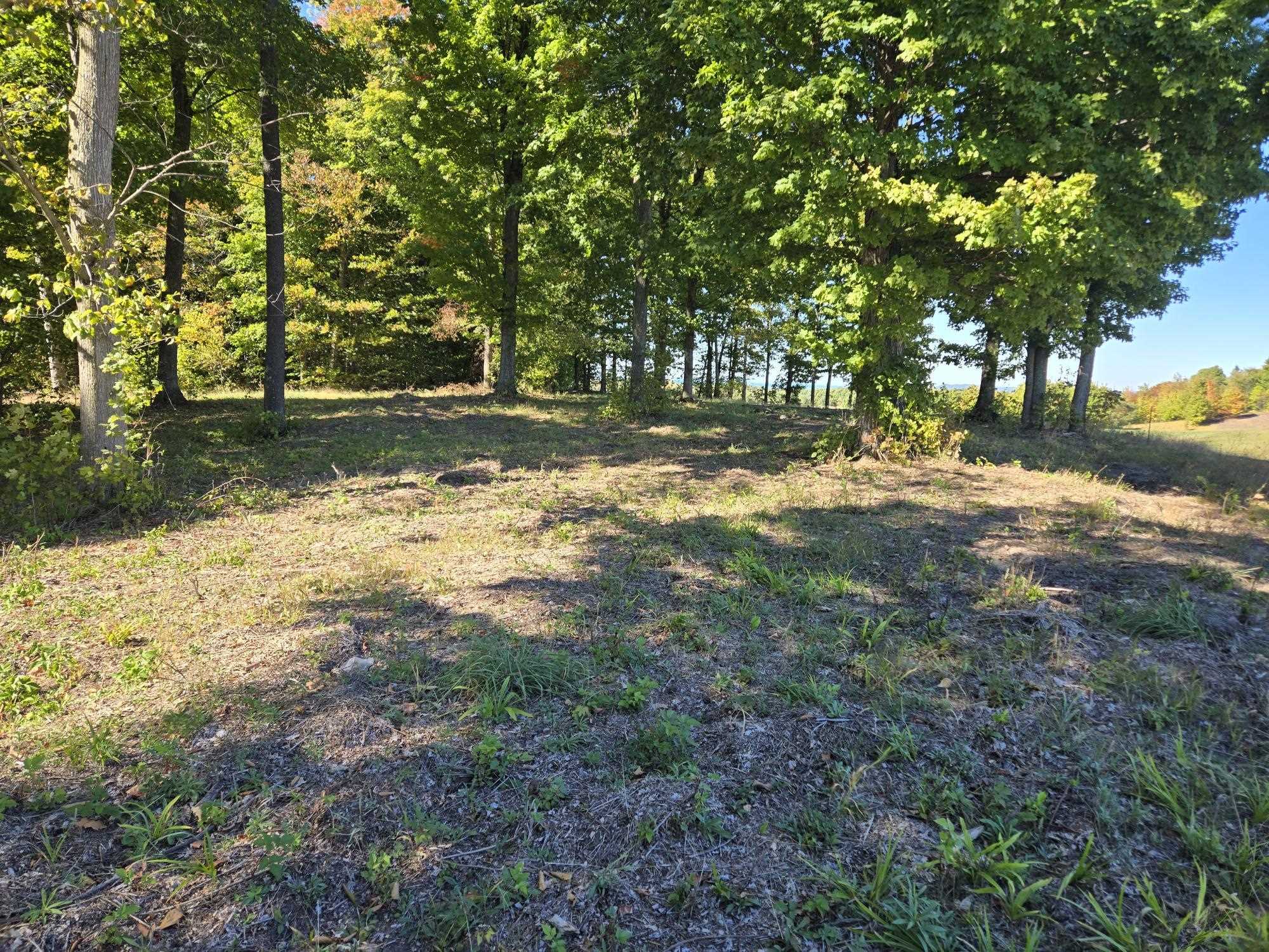 0016 Heather Ridge Trail Homestead Township MI 49617