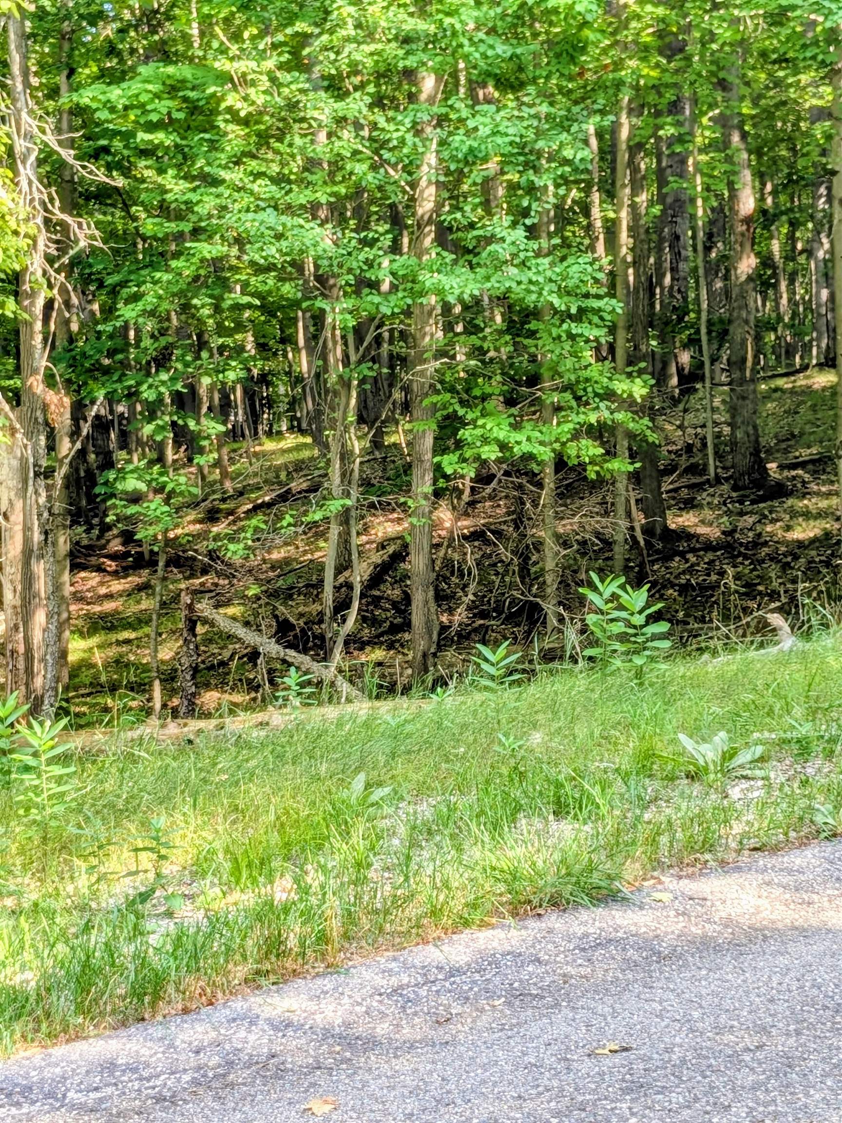 11717 Broken Arrow Morton Township MI 49346