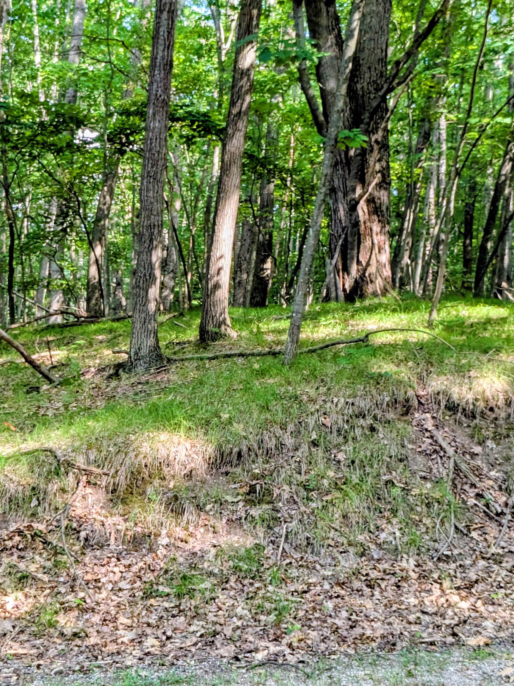 11717 Broken Arrow Morton Township MI 49346