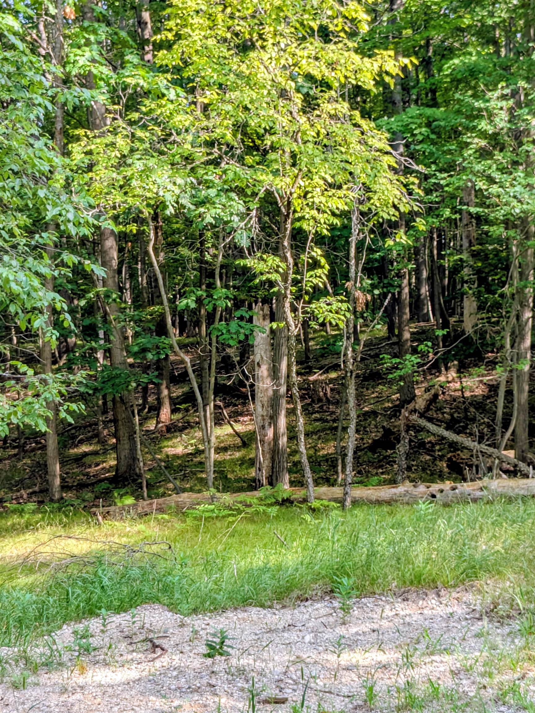 11717 Broken Arrow Morton Township MI 49346