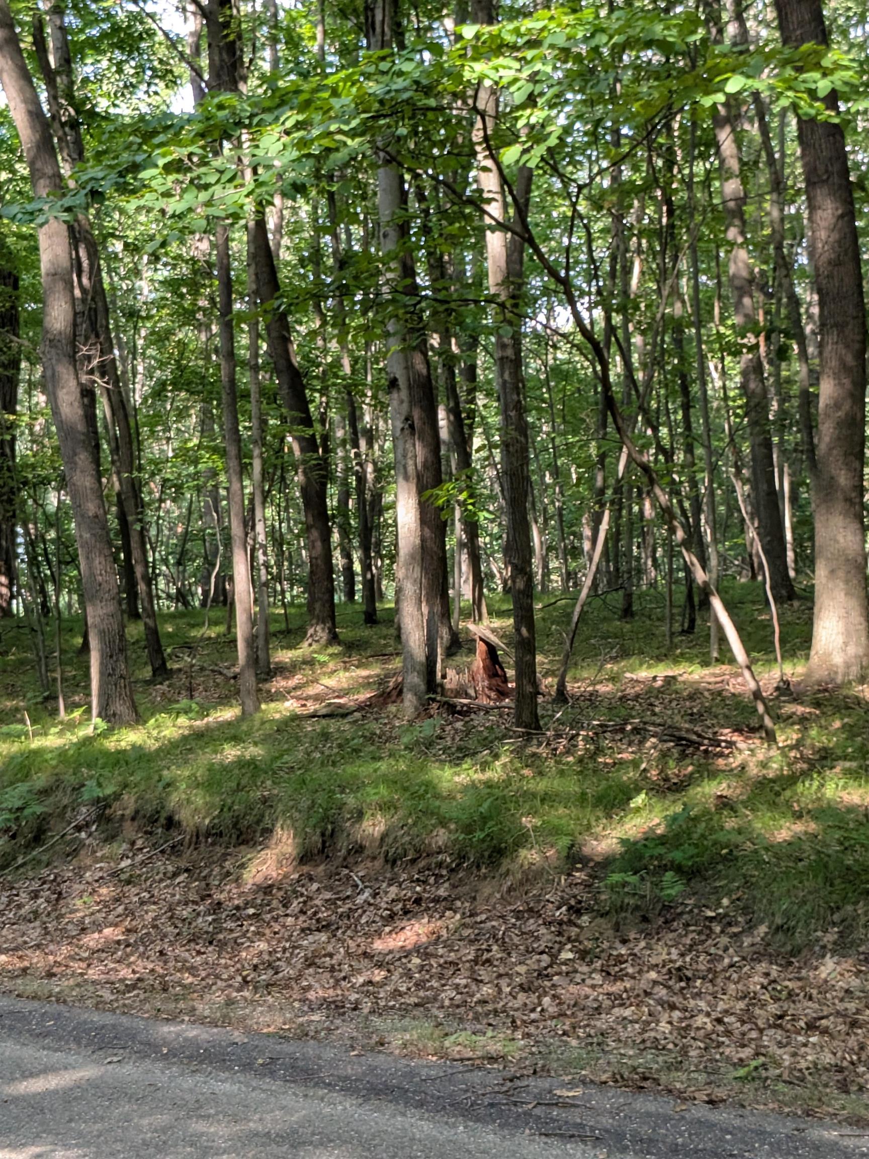 11717 Broken Arrow Morton Township MI 49346