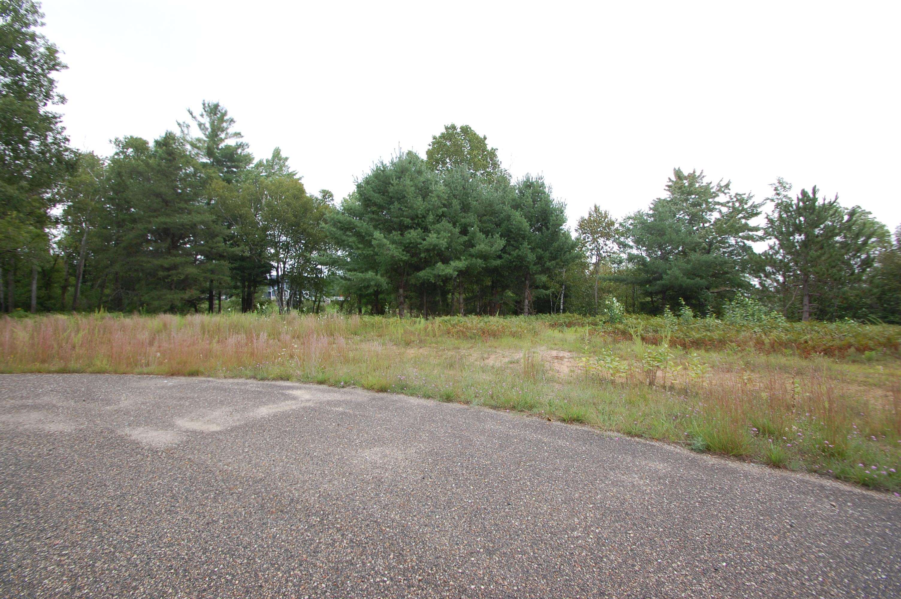 0 Jonathan Court West Branch Township MI 48661