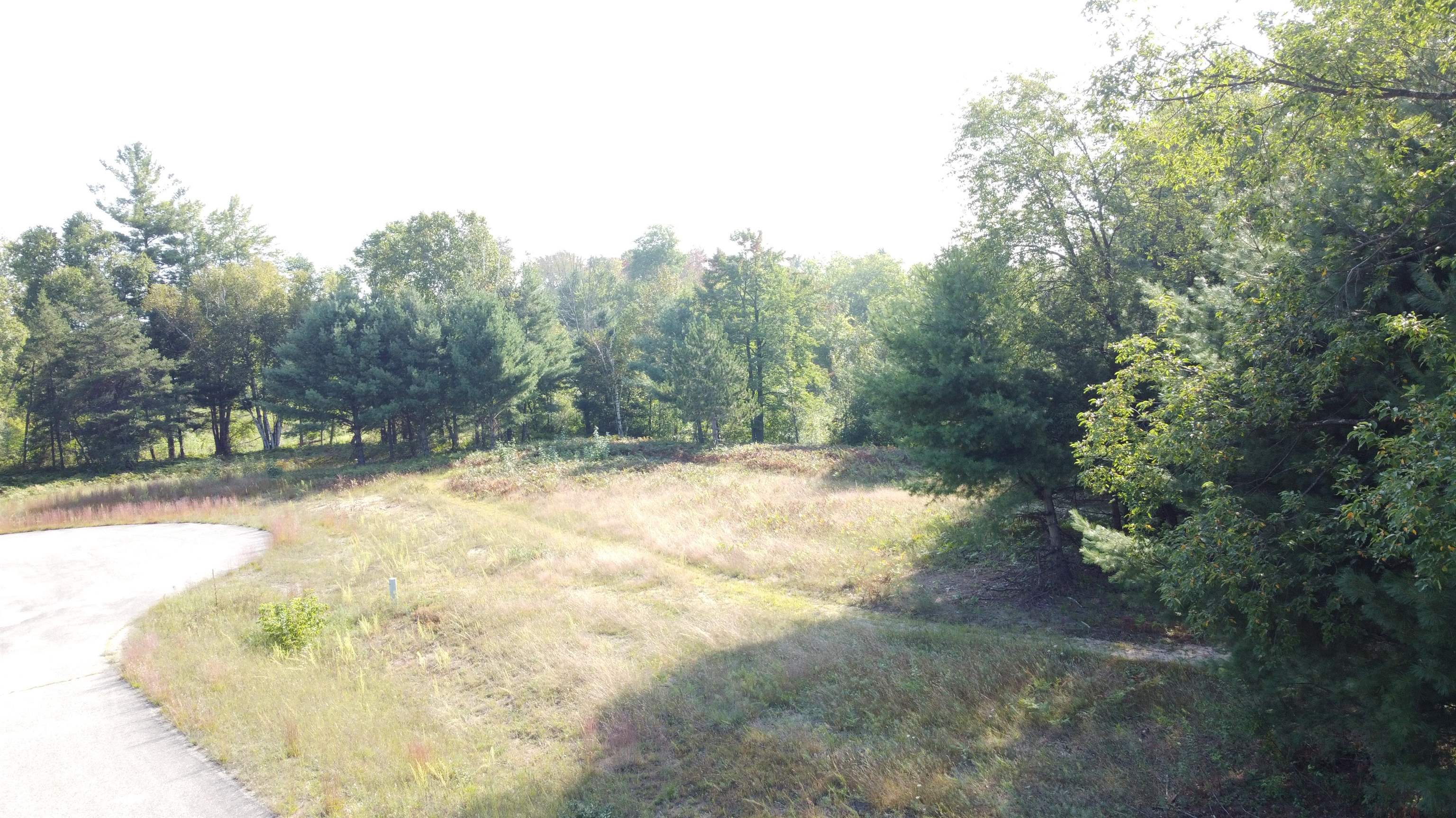 0 Jonathan Court West Branch Township MI 48661