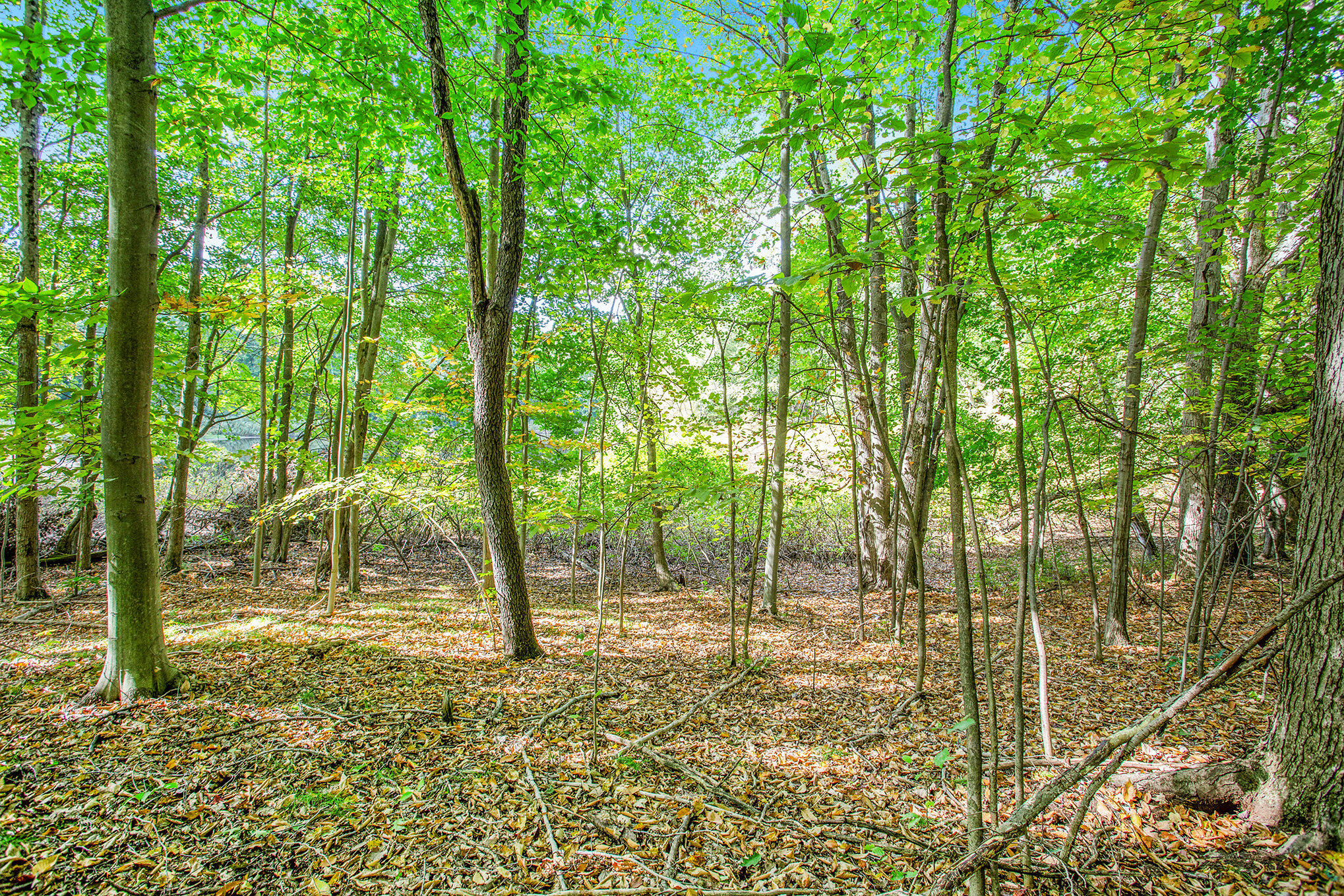 9425 Benjamin Drive Brooks Township MI 49337