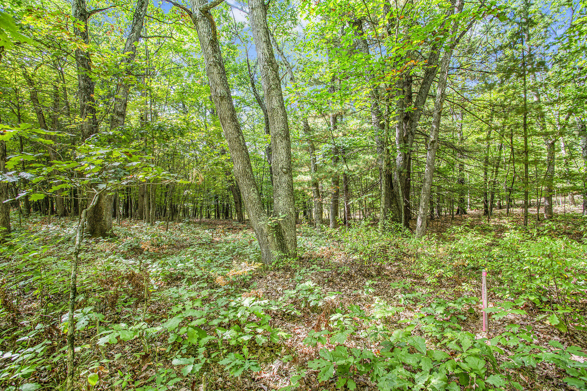 9425 Benjamin Drive Brooks Township MI 49337