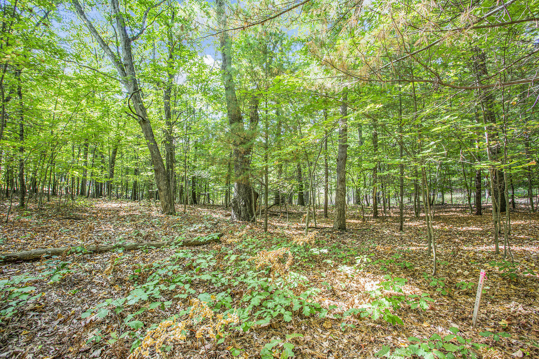 9425 Benjamin Drive Brooks Township MI 49337