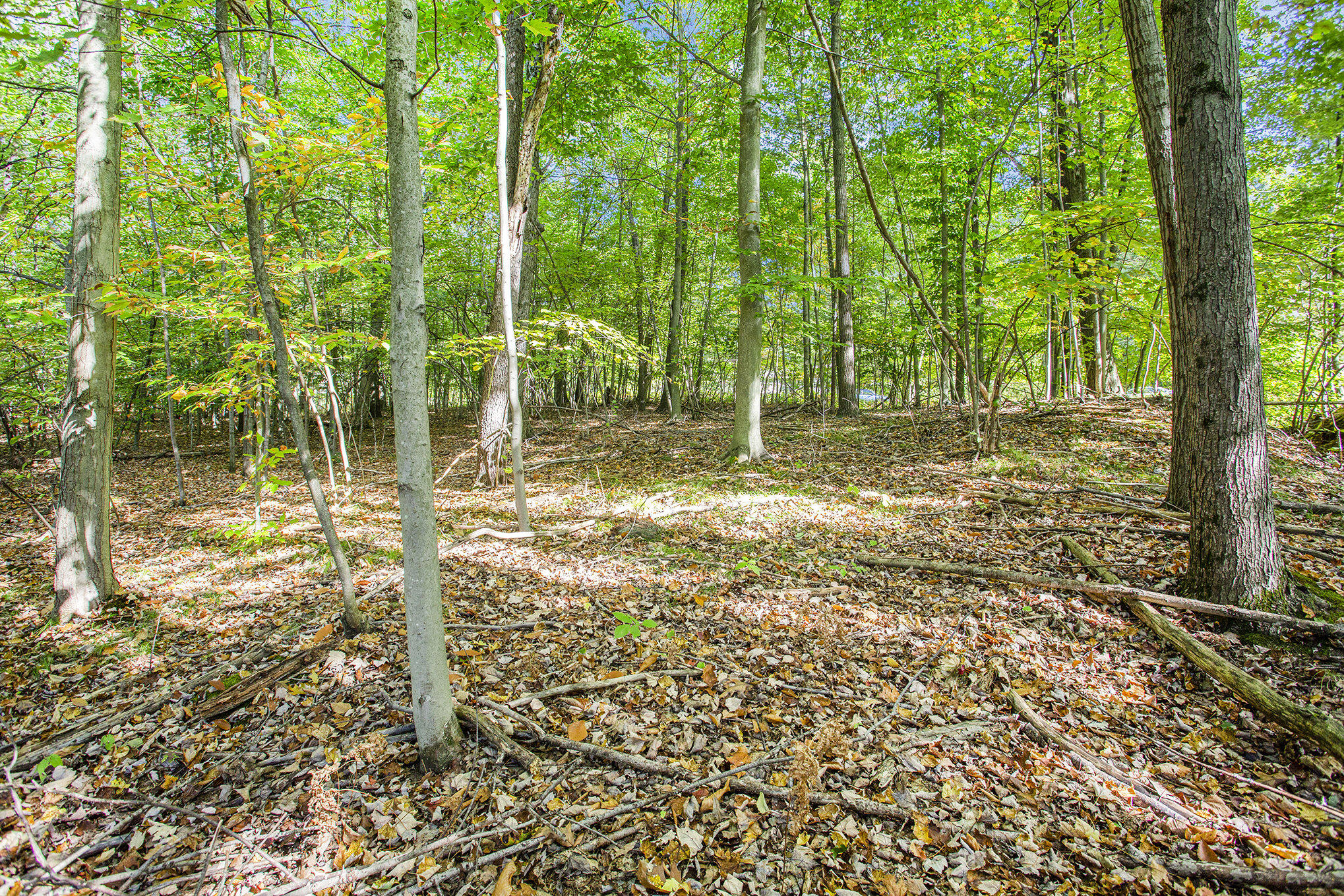 9425 Benjamin Drive Brooks Township MI 49337