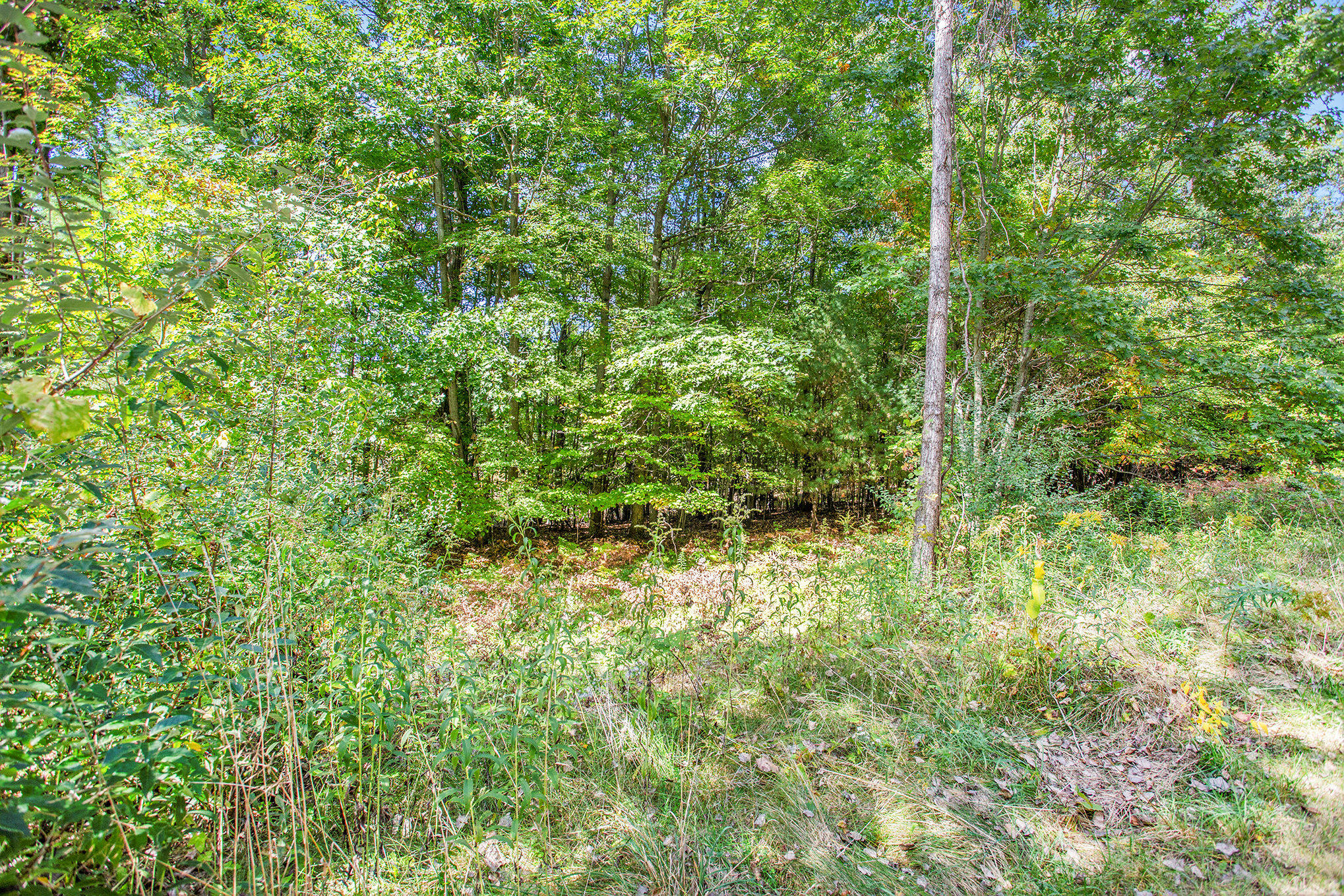 9425 Benjamin Drive Brooks Township MI 49337