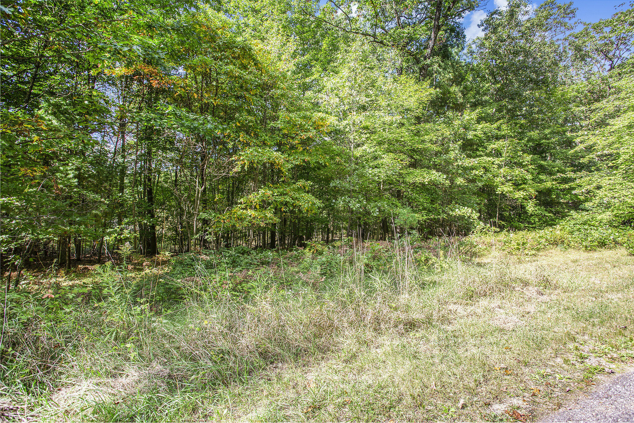 9425 Benjamin Drive Brooks Township MI 49337