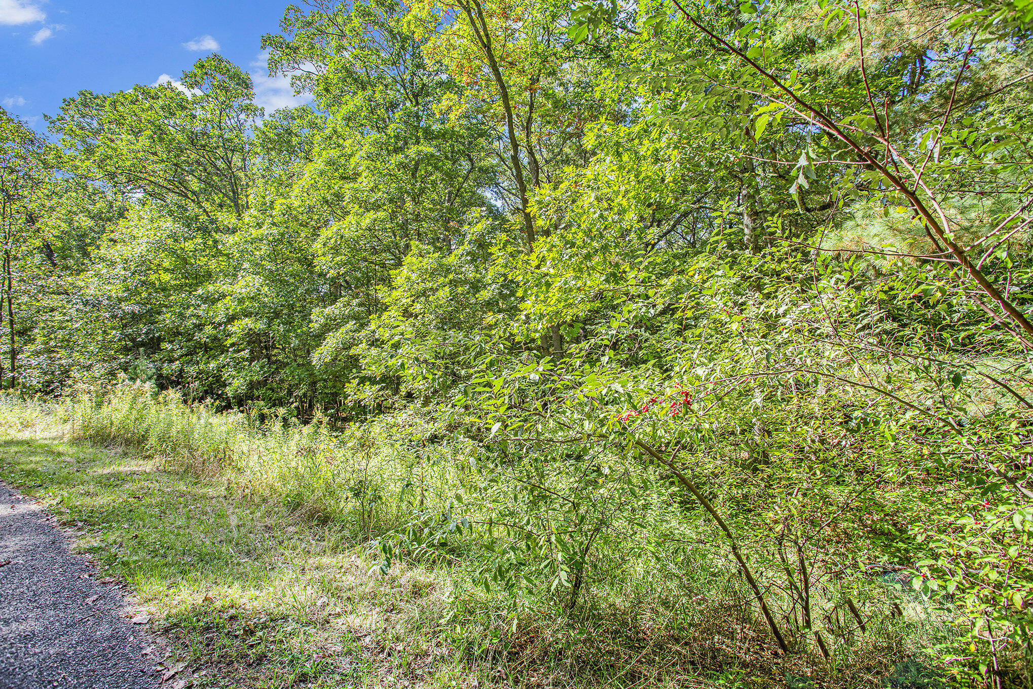 9425 Benjamin Drive Brooks Township MI 49337