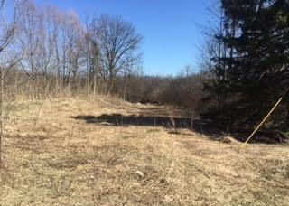 Ville Lake Lane White Lake Charter Township MI 48386