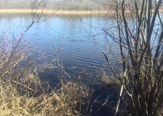 Ville Lake Lane White Lake Charter Township MI 48386